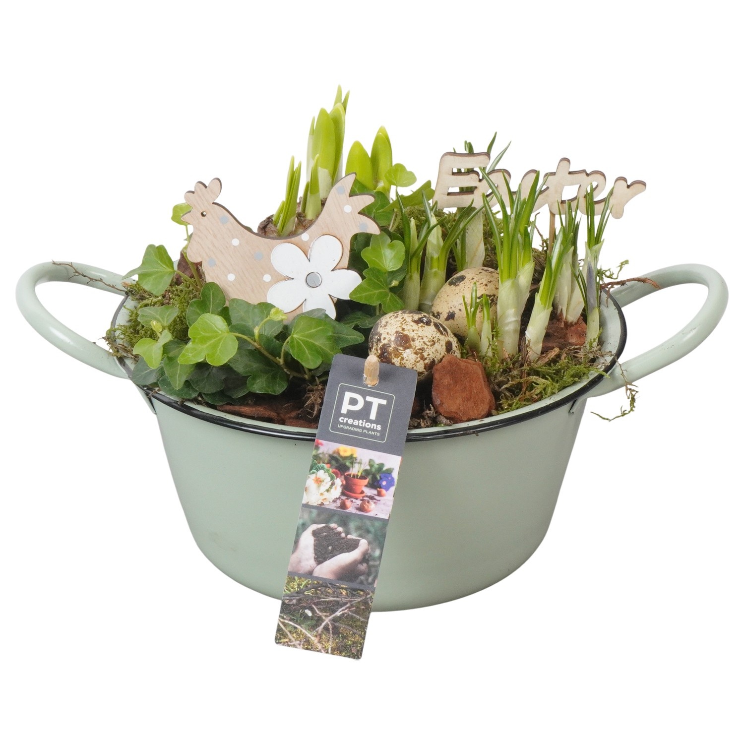 PTBMP5623 Arrangement Easter Bulbs Mix in zink schaal, D 19