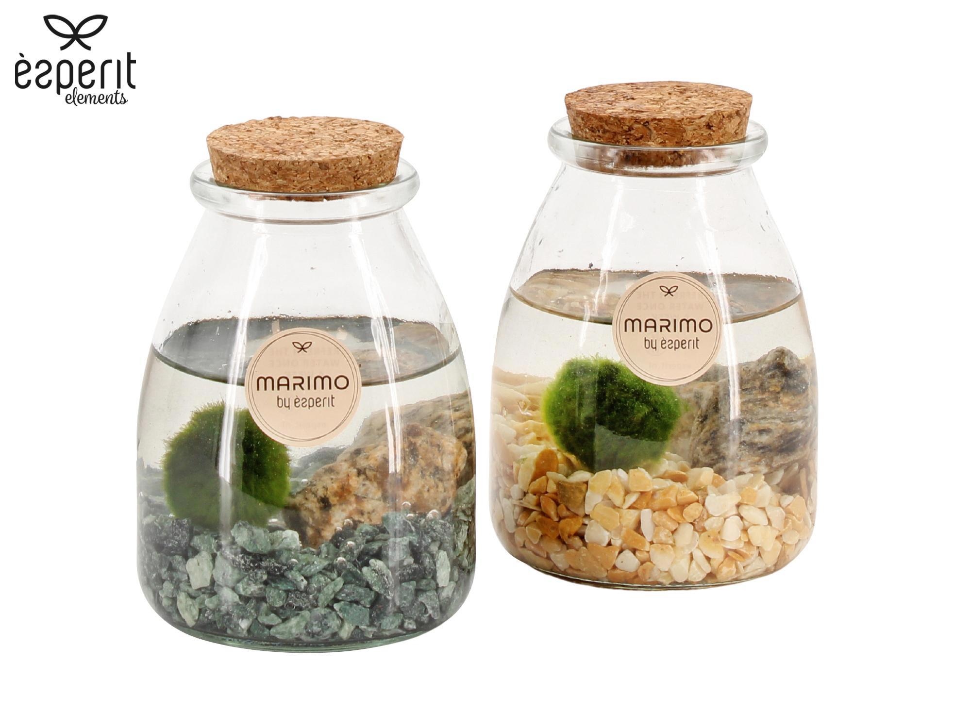 90532: Marimo arrangement, D 9