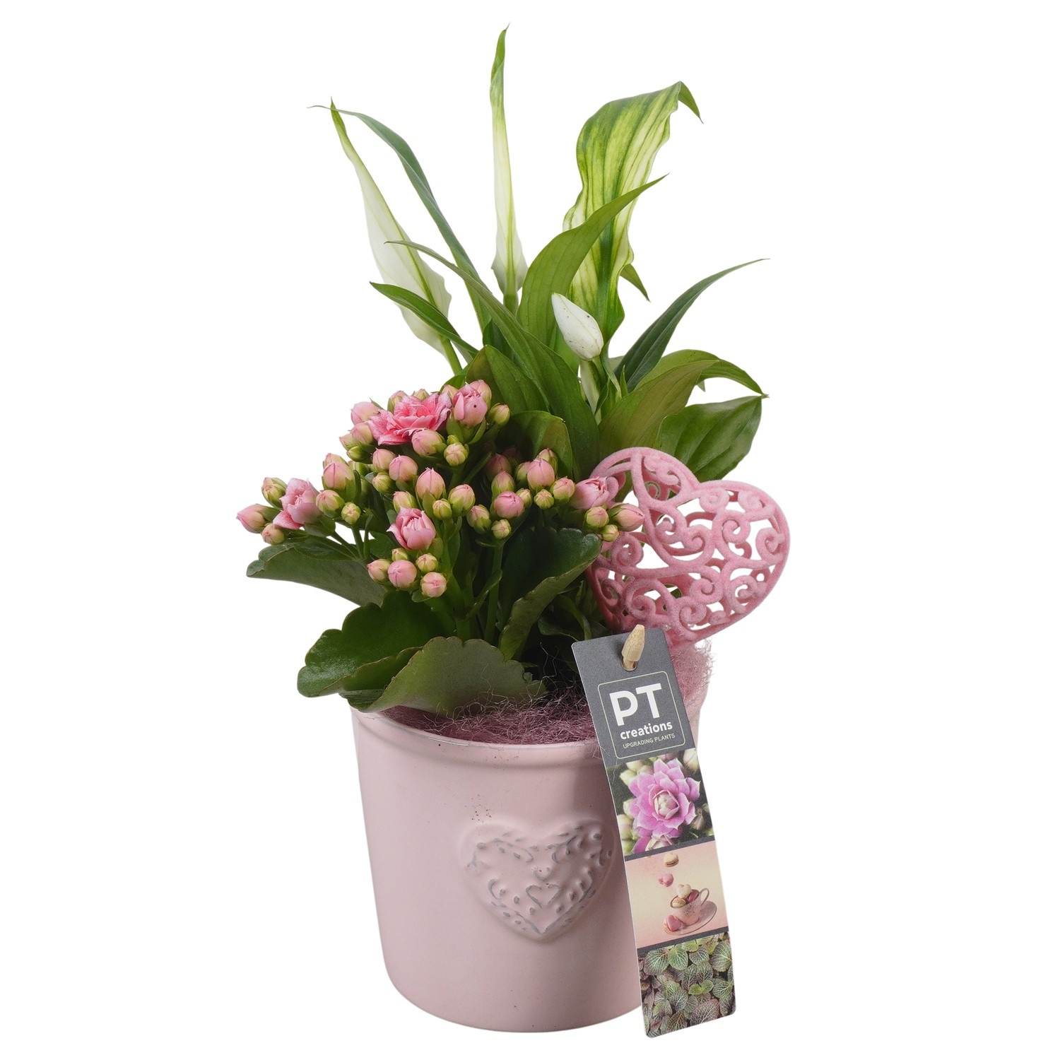 PTVMB2249 Arrangement Valentines-Mothersday in keramiek sierpot, D 10