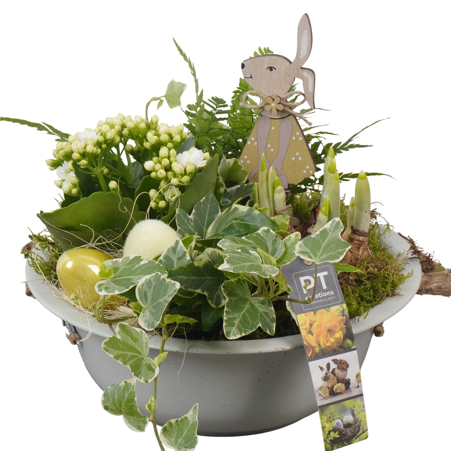 PTPB6409 Arrangement Easter in zink schaal, D 24