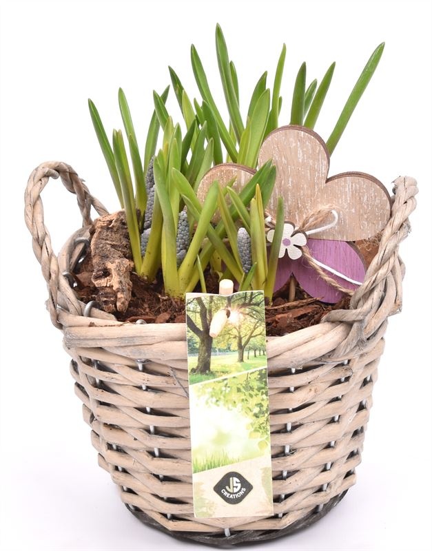 Wilg mand grijs met oor 14cm, D 14