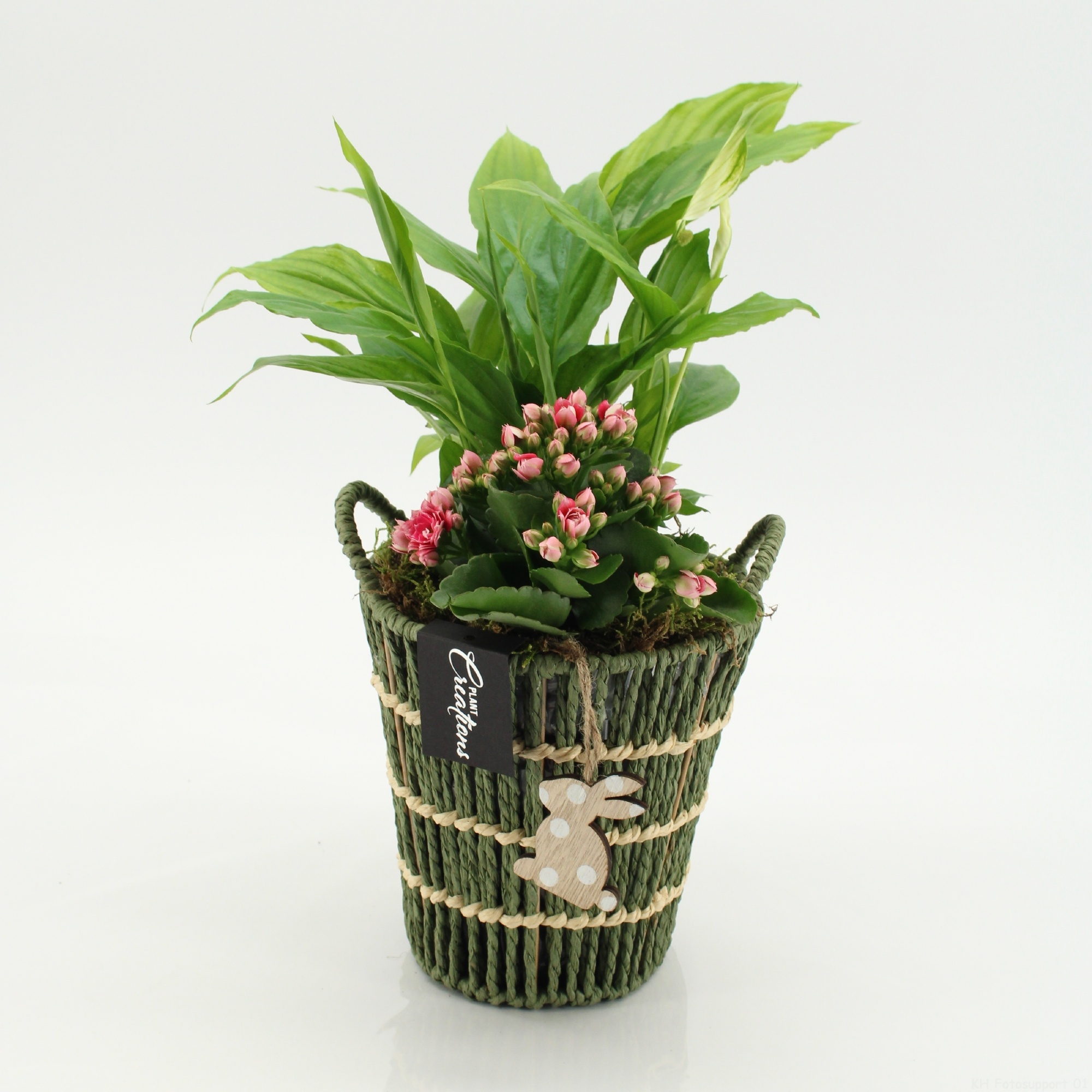 PSCR-2605RZ Easter Essentials, D 16