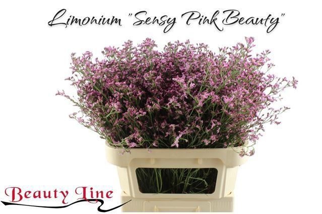 Лимониум Сенси Пинк Бьюти 80, шт.