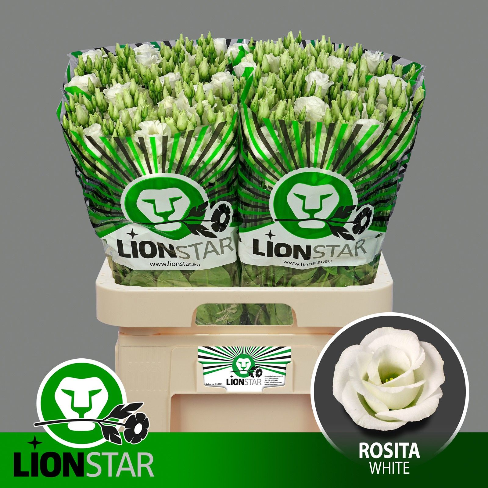 Эустома Розита Вайт 70 (бел.), шт.
