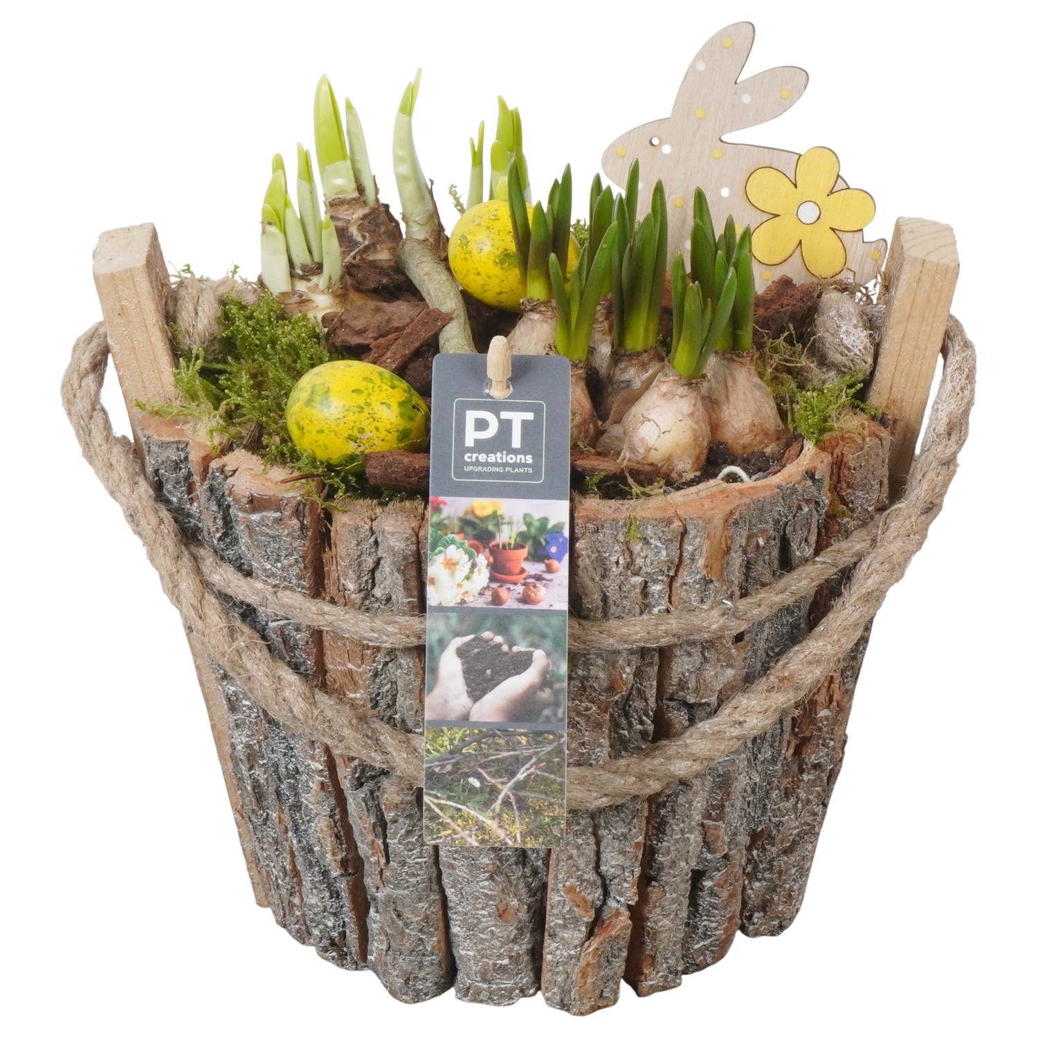 PTBMP5727 Arrangement Easter Bulbs Mix in houten pot, D 20