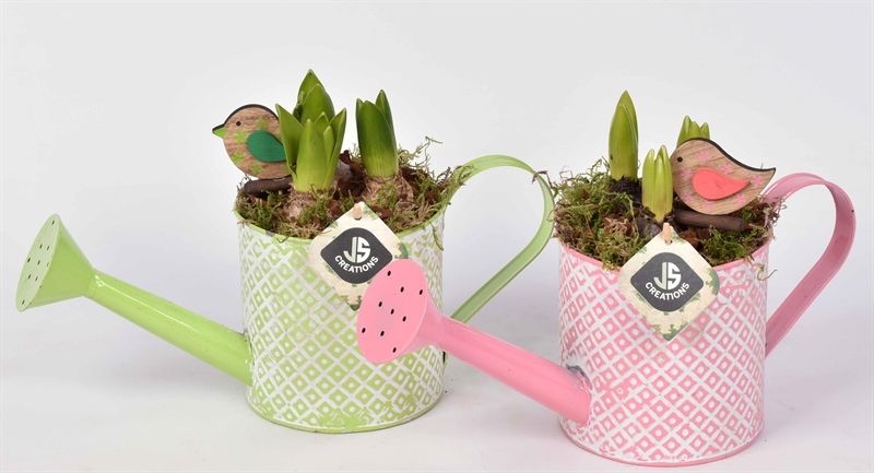 Zink gieter groen/roze 12cm, D 12