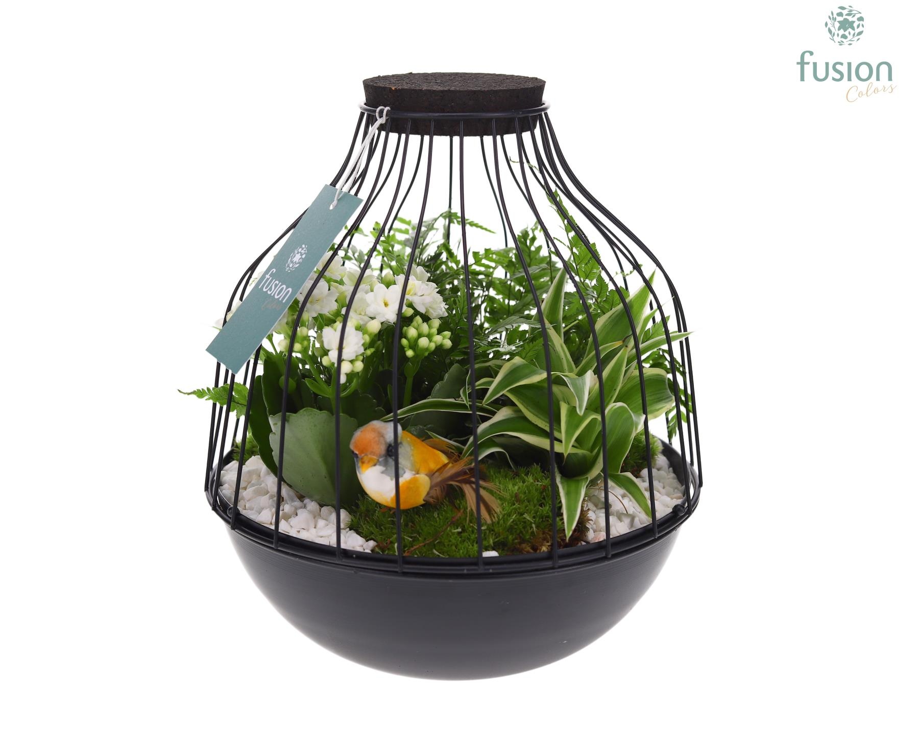 Vogelkooi metaal zwart Large LED met arrangement, D 21