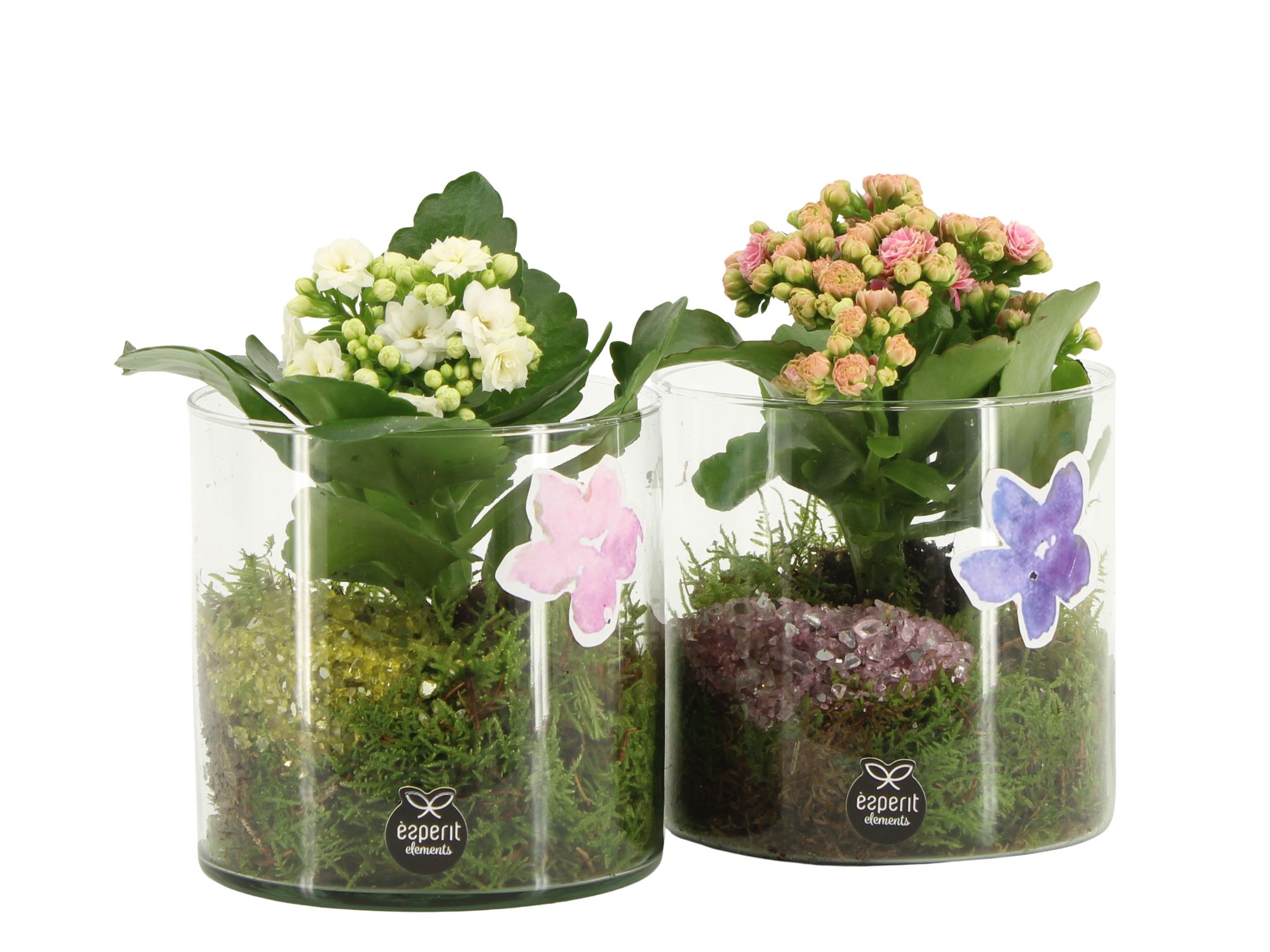 11615: Consideration arrangement, D 12