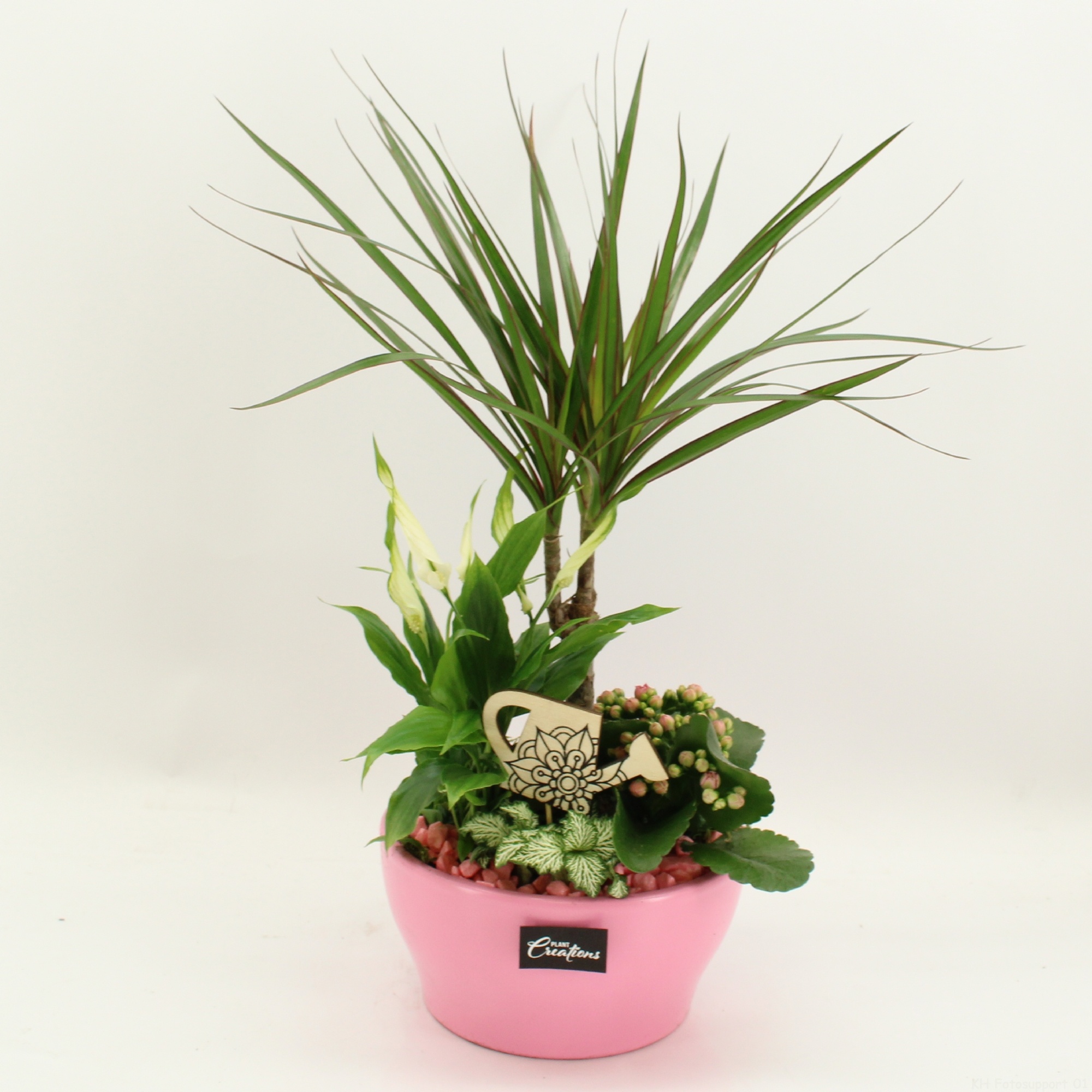 FDCR-2609RZ Basic Fundamentals, D 19