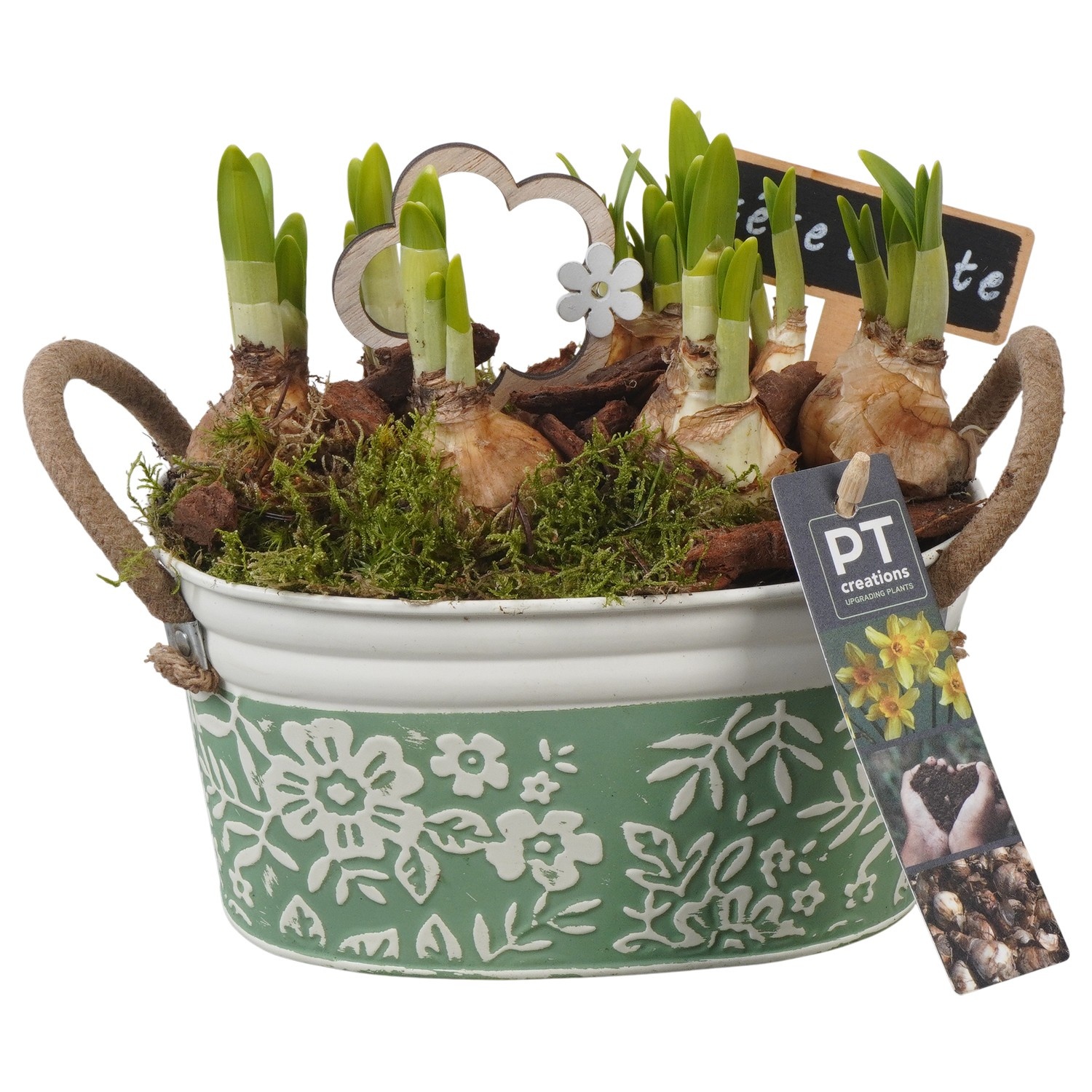 PTN8567 Arrangement Narcissus in zink pot, D 18