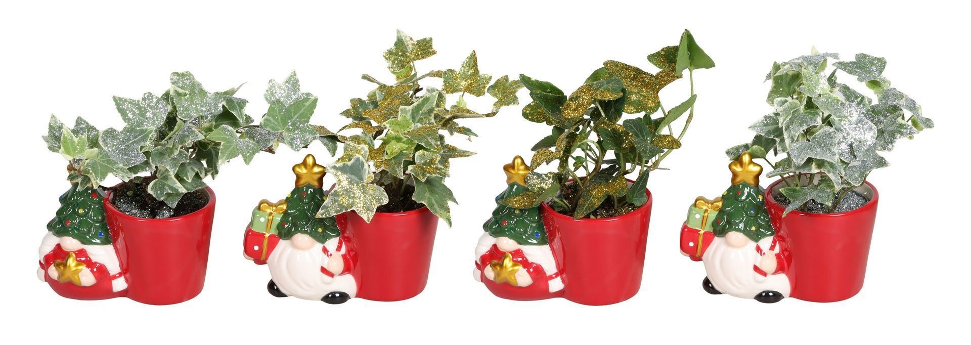 L 67446 With Hedera Helix Mix Glitter 6 cm, D 6