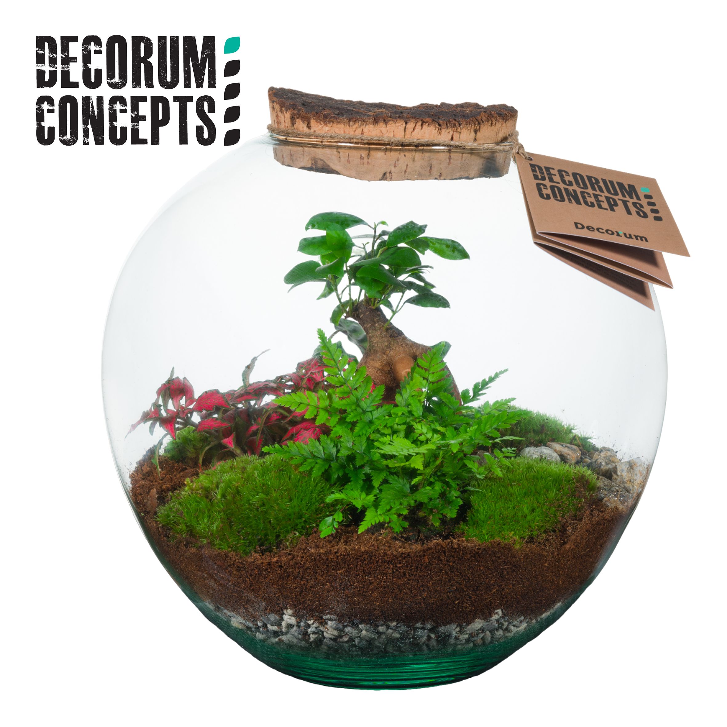 Terrarium Moon medium (Decorum concepts), D 27