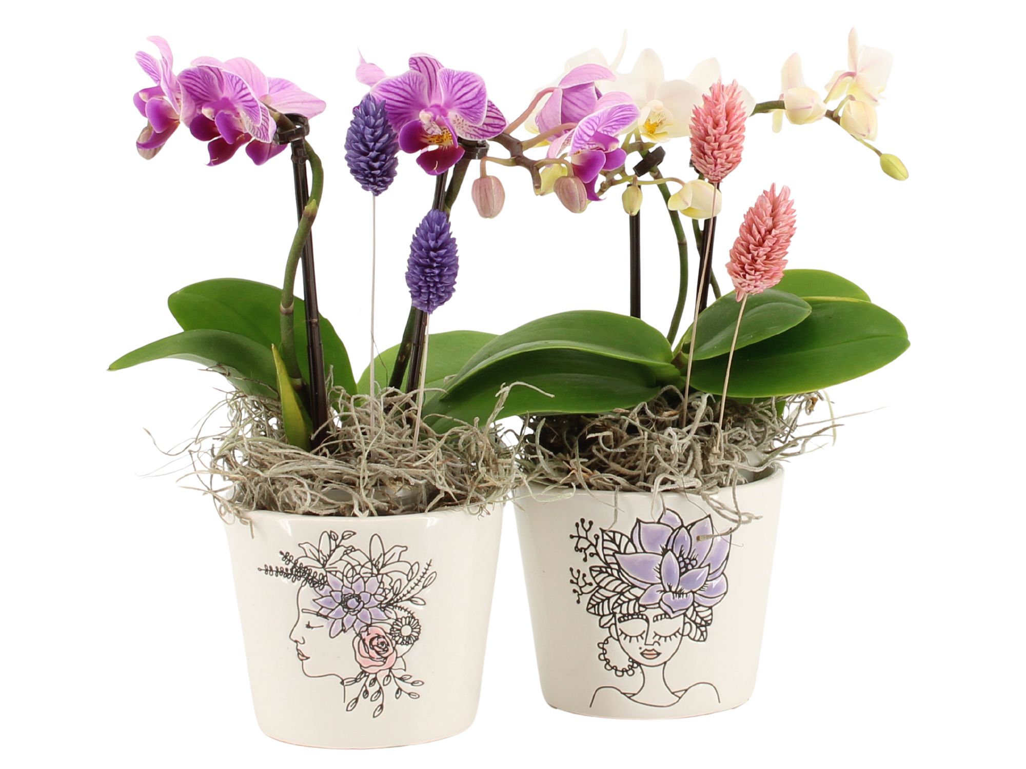 21697: Lovess arrangement, D 8