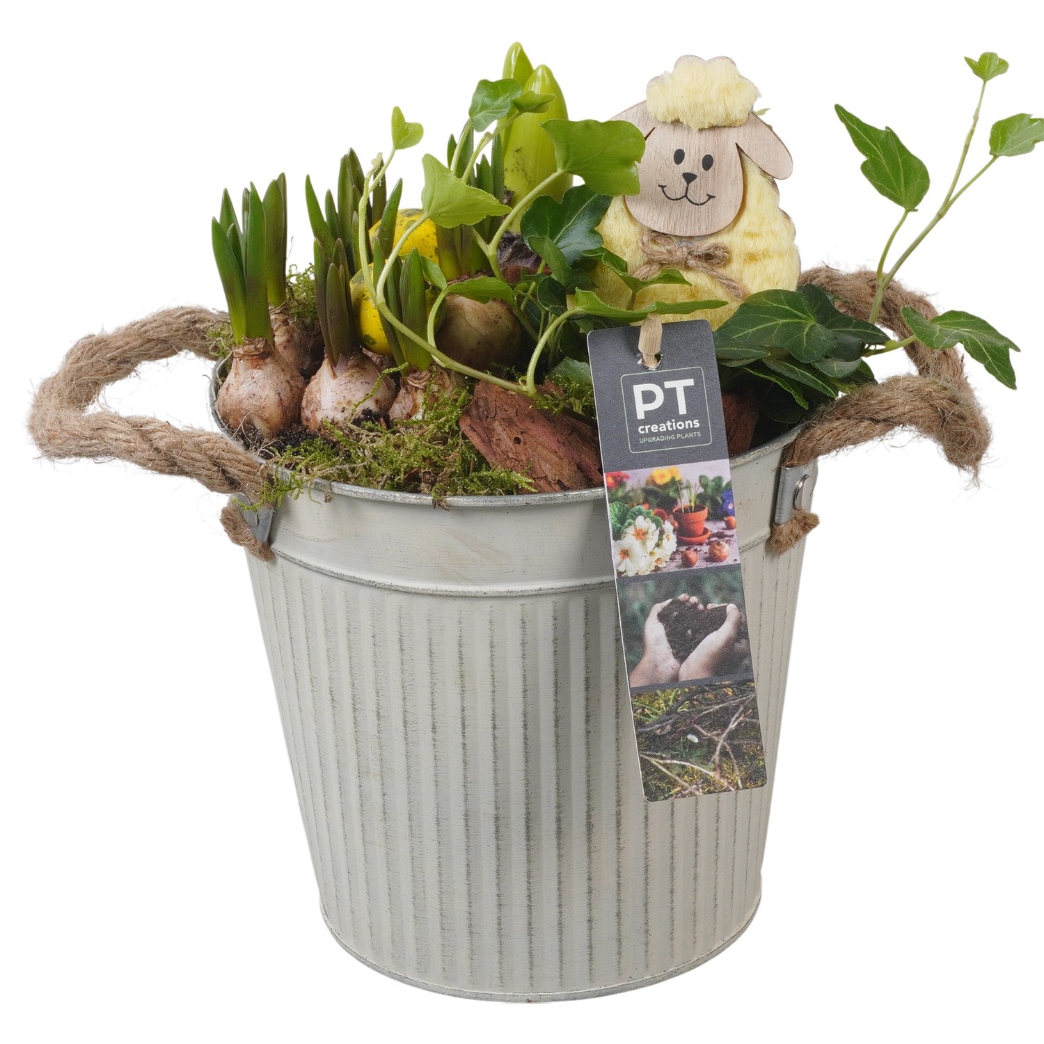 PTBMP5665 Arrangement Easter Bulbs Mix in zink pot, D 16