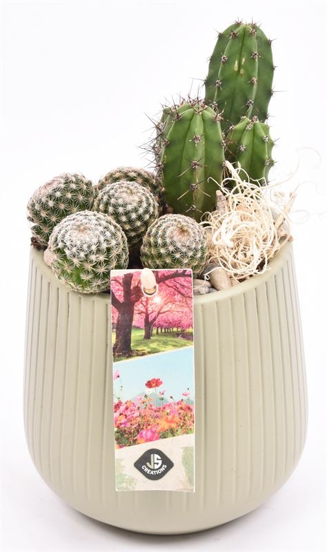 Keramiek vert.lines khaki mat 12cm, D 12