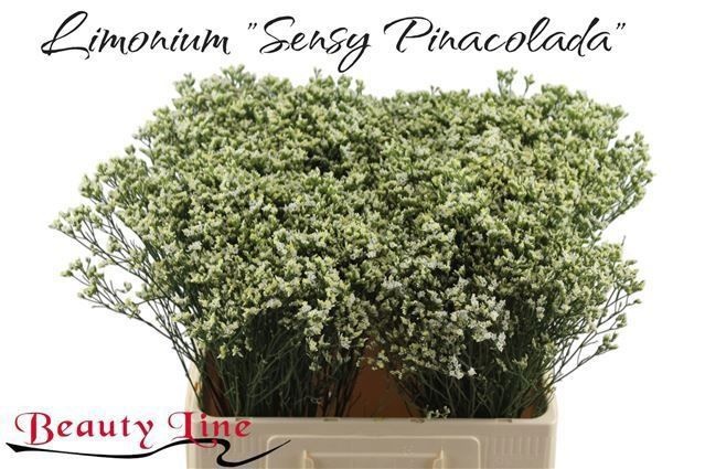 Лимониум Сенси Пина Колада 60, шт.
