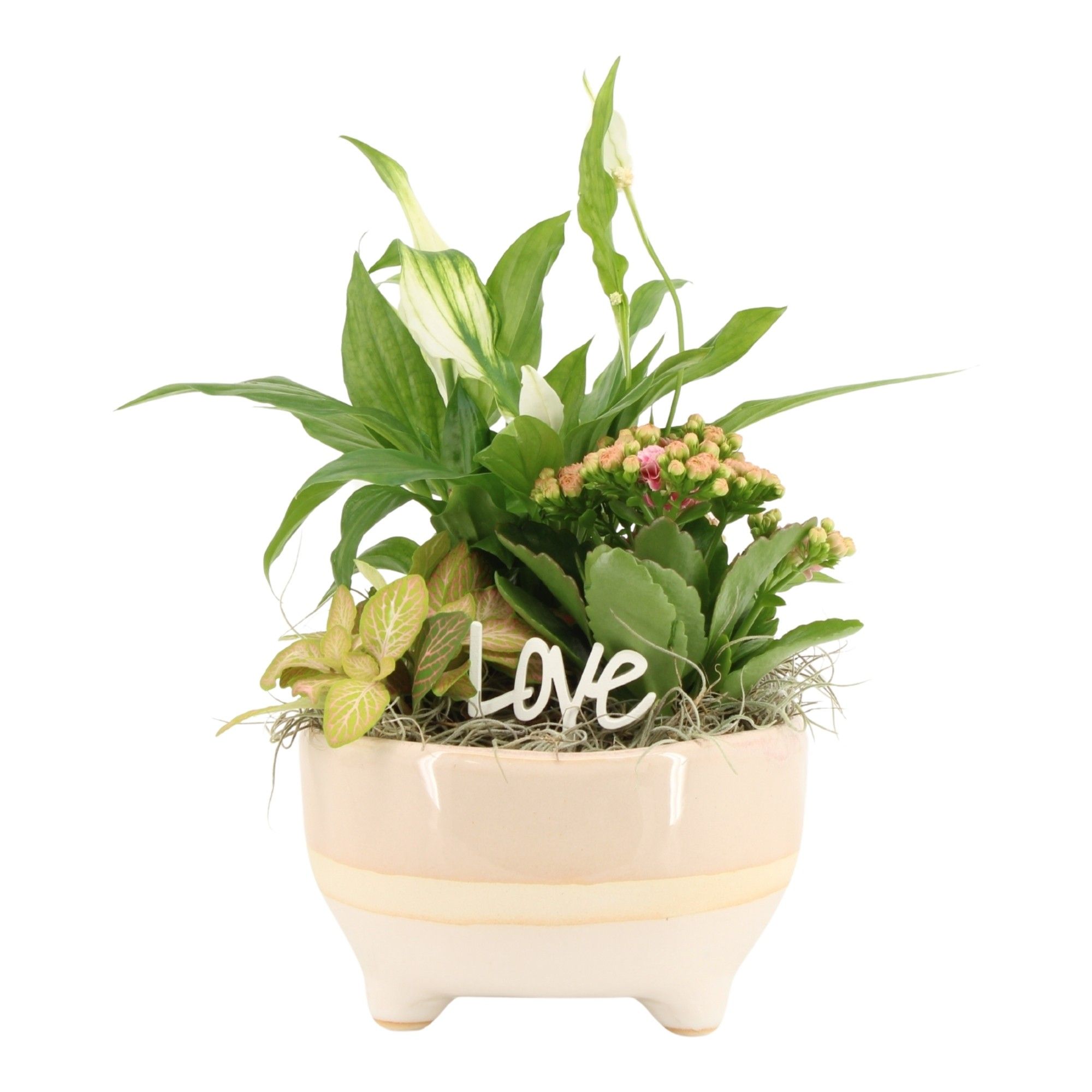 21562: Lovess arrangement, D 16