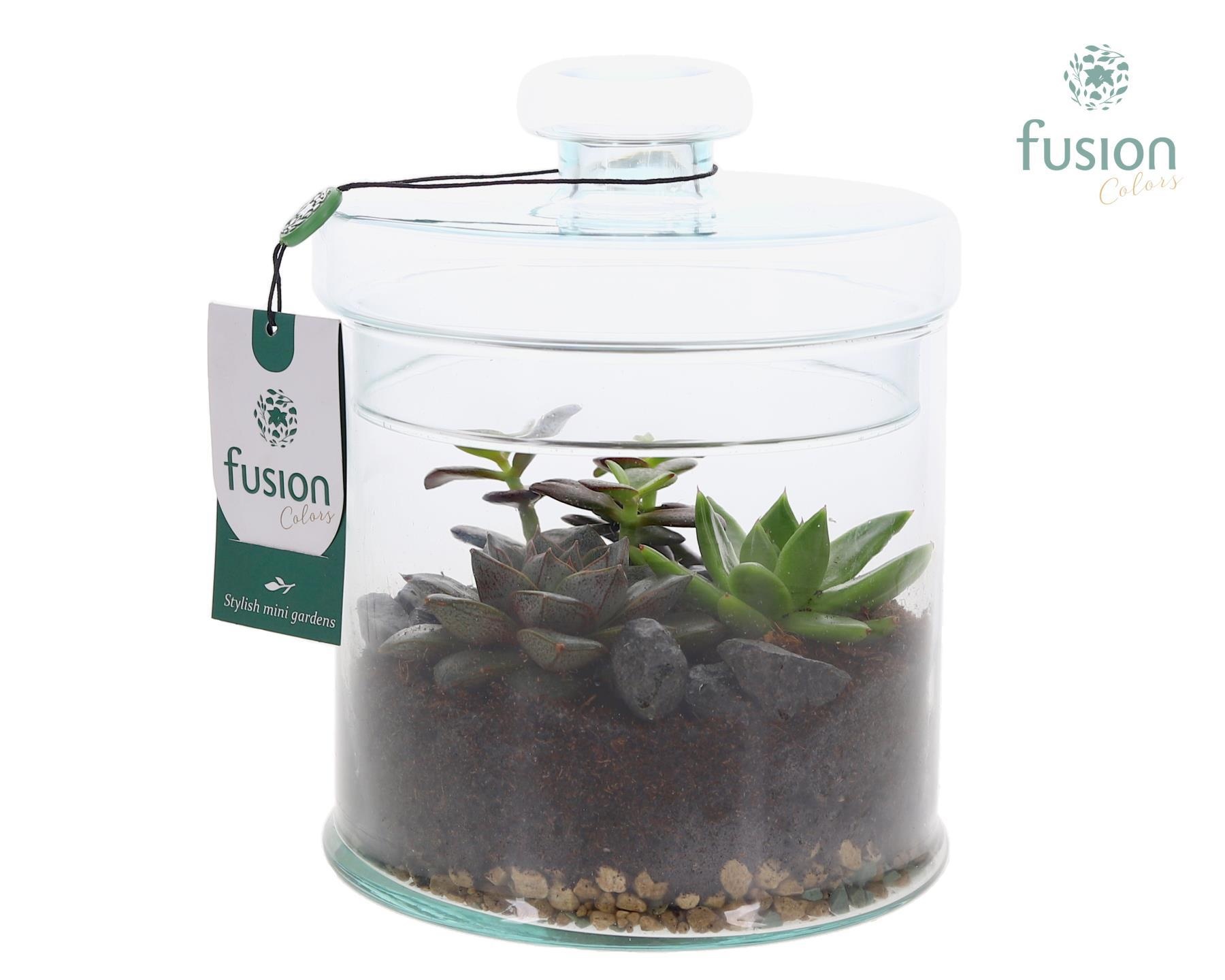 Glaspot met deksel en Arrangement, D 18