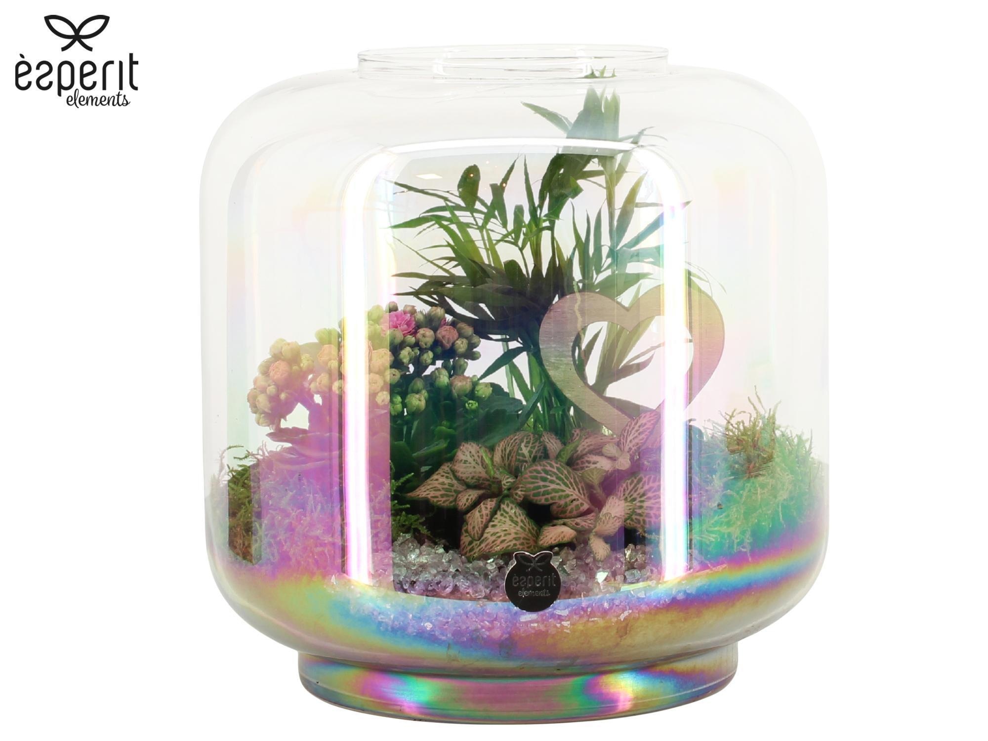 22027: Lovess arrangement, D 24