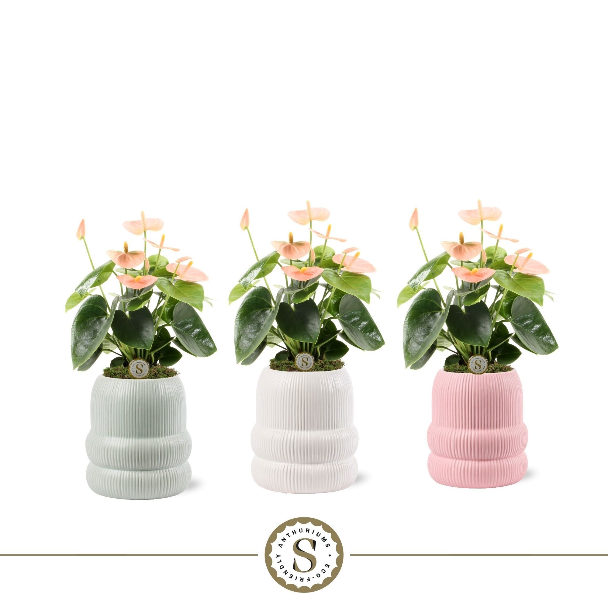 Helsinki Keramiek Spirit, D 9