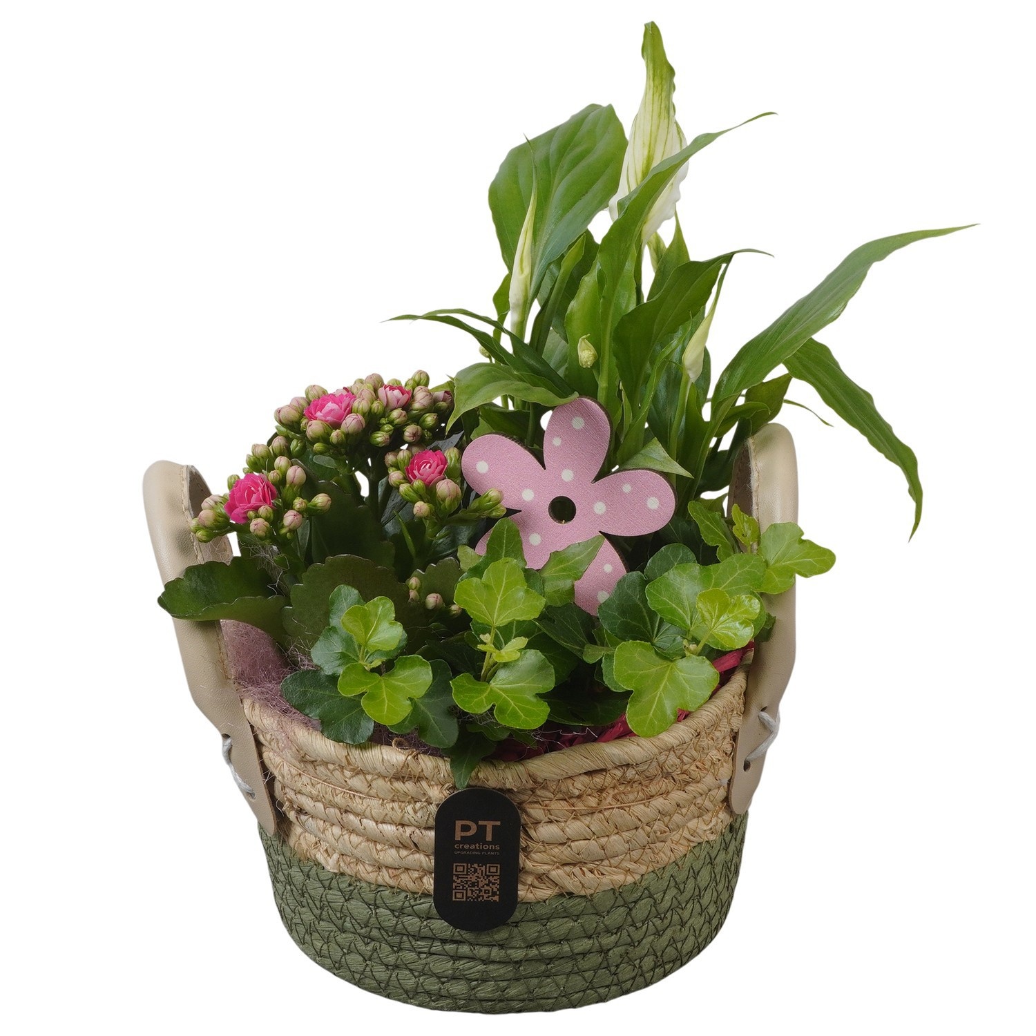 PTIB5232 Arrangement Indoor in rieten mand, D 17