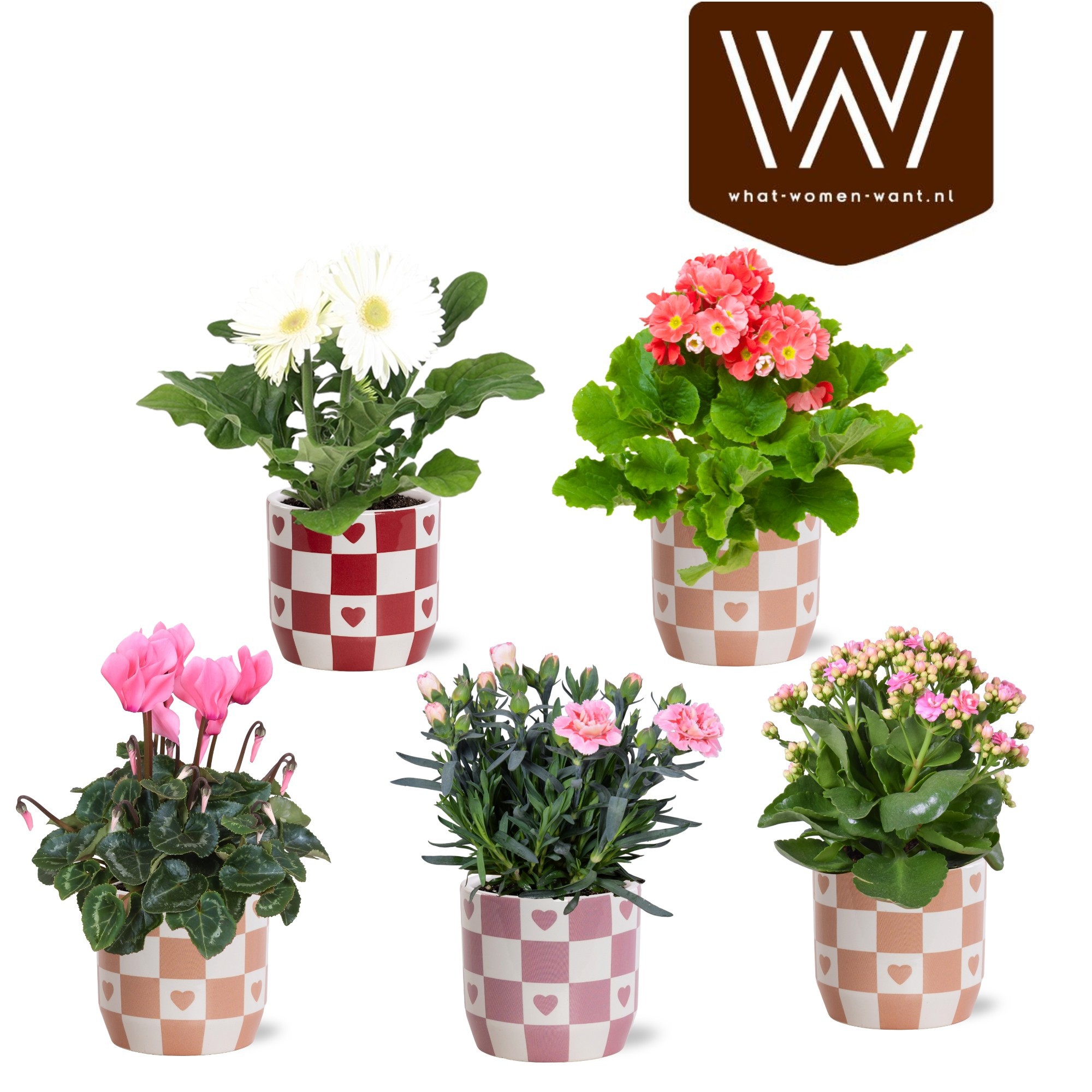 Bloeimix in Collectie 'Sympathetic Moods' Rosie keramiek, D 14