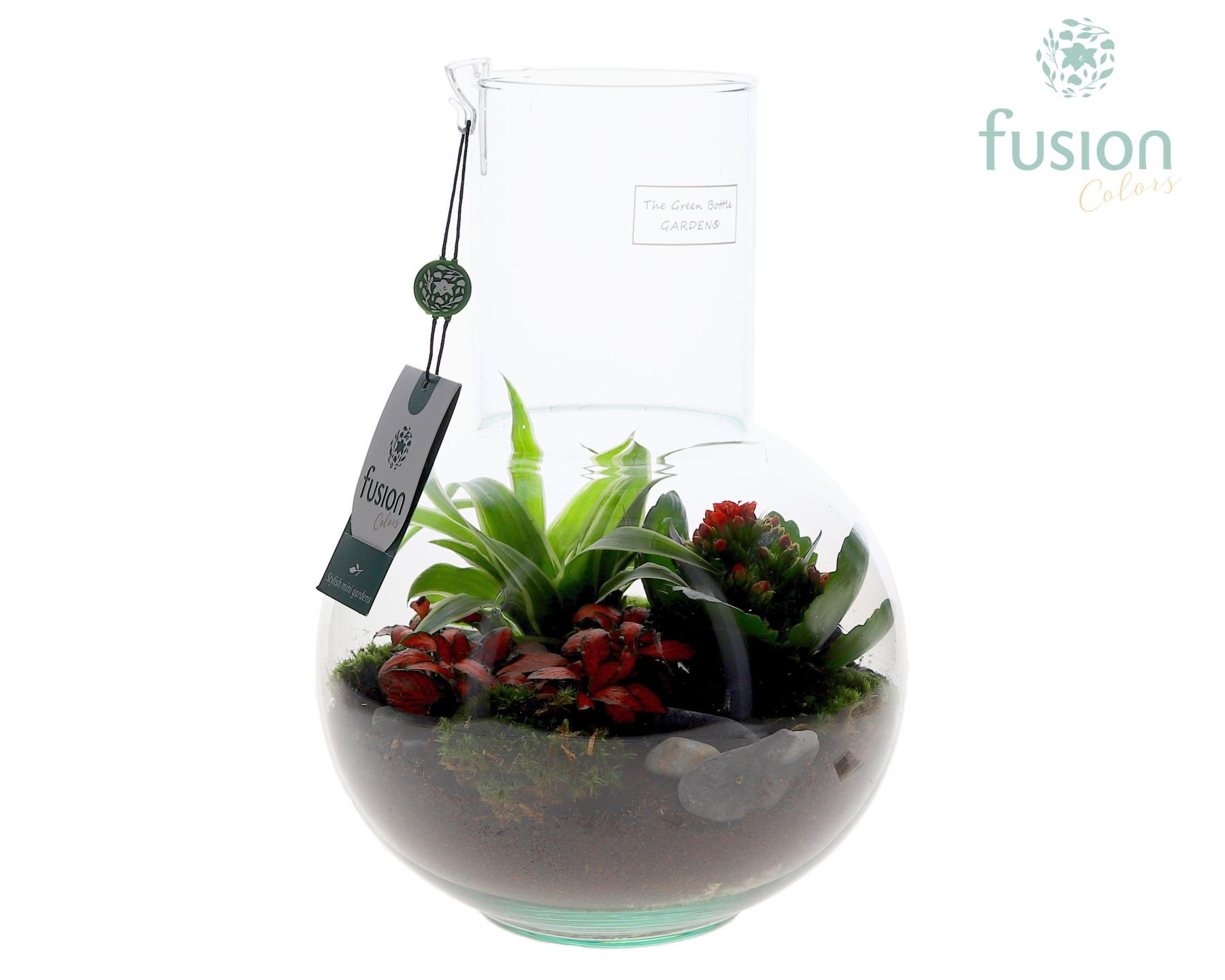 Green Bottle Suzanne Medium met arrangement, D 21