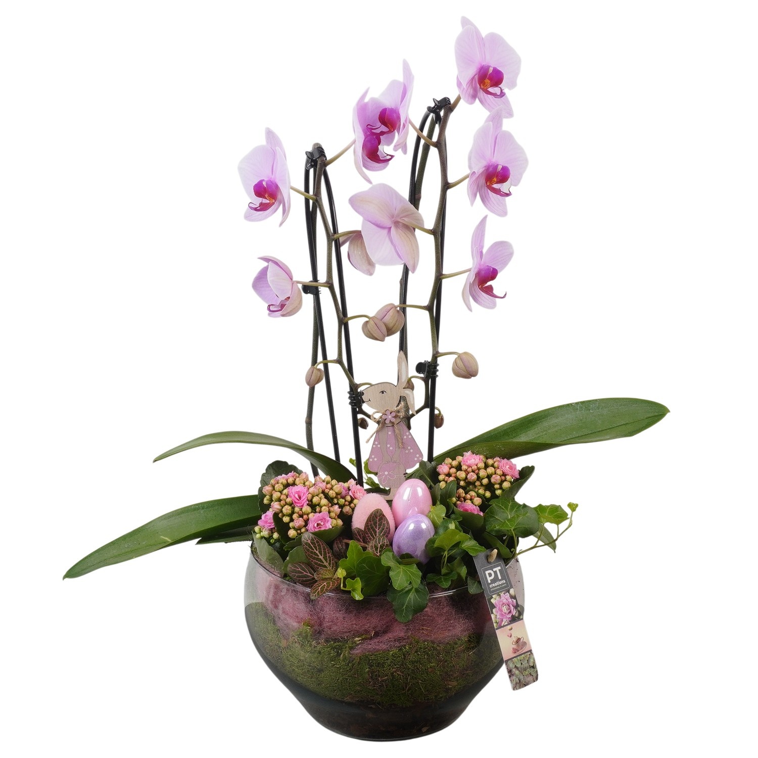 PTPG9411 Arrangement Easter in glasschaal, D 23