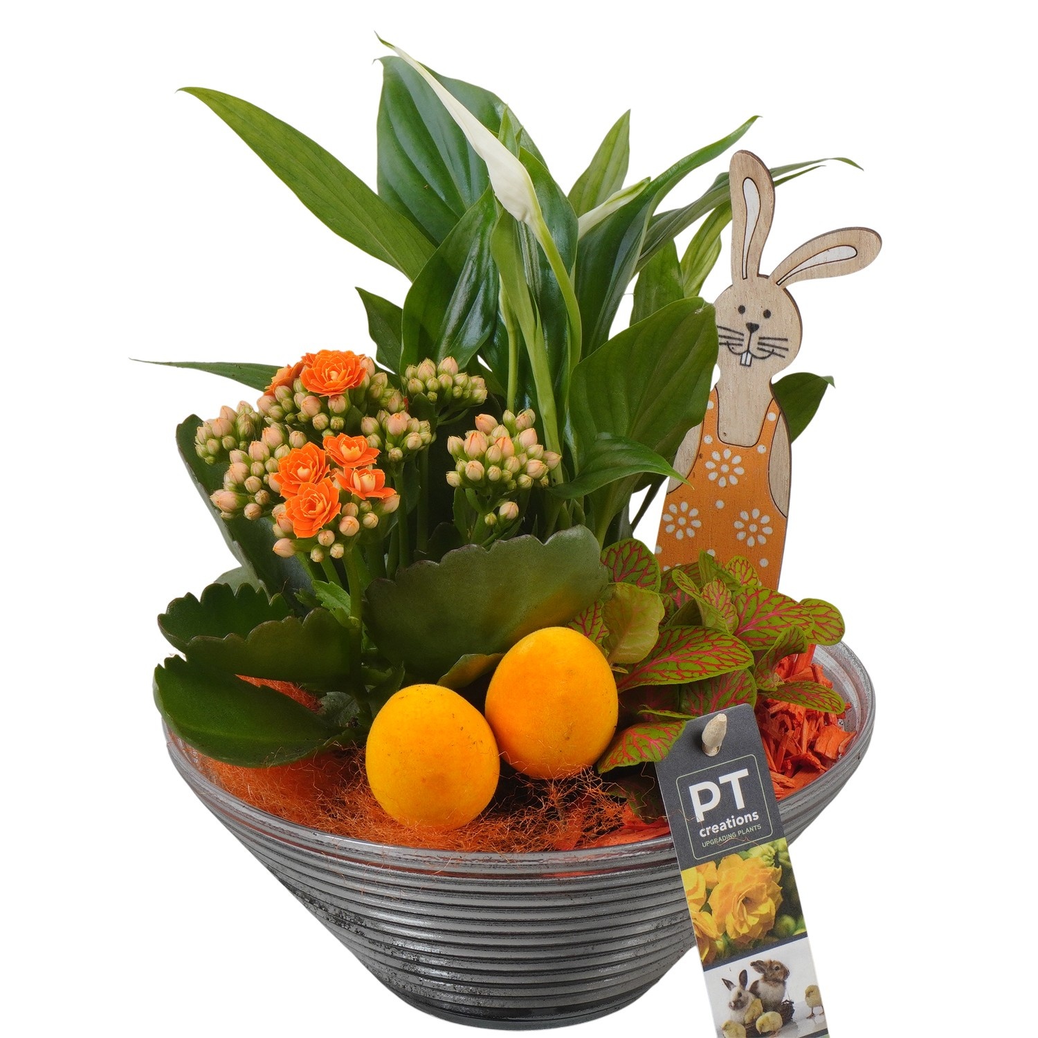 PTPG9353 Arrangement Easter in glasschaal, D 19
