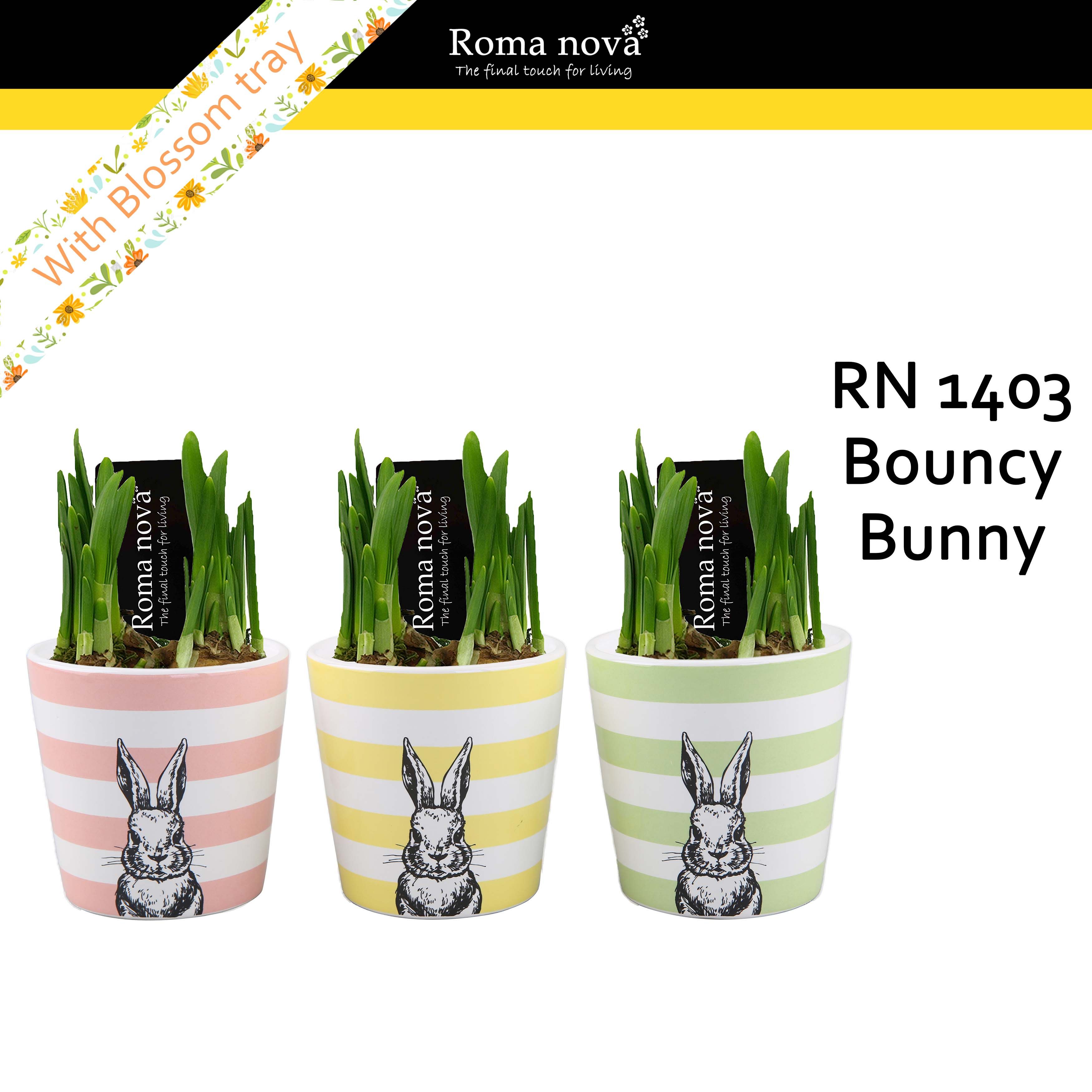 1403 - Bouncy Bunny (Tete a Tete), D 10
