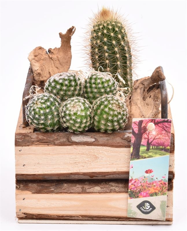 Hout vierk. met handvat 12,5x12,5cm, D 13