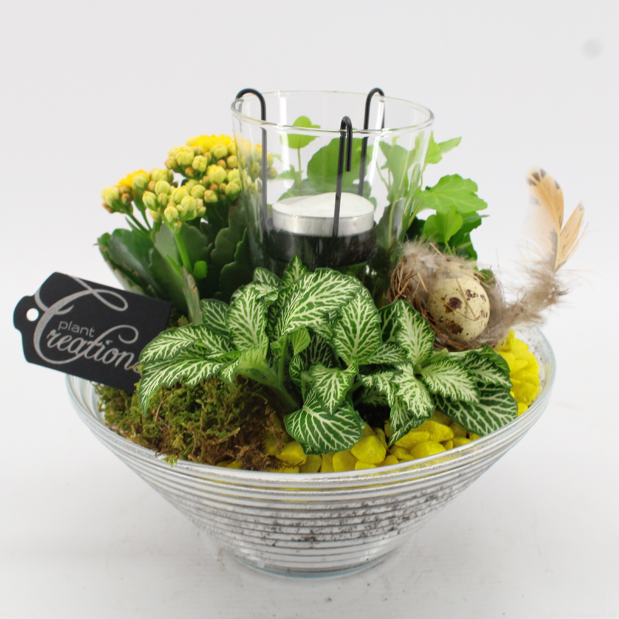 FDPS-2603 Easter Fundamentals, D 20