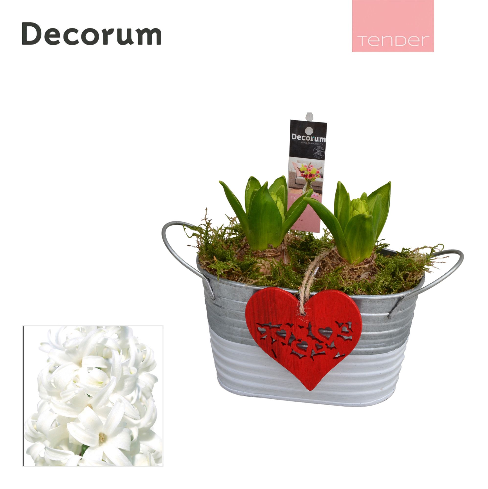 Hyacint Duo Zink HL11704WP [TENDER], D 15