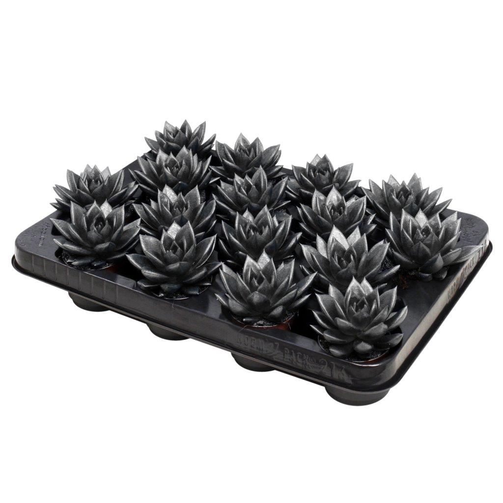 Miranda coloured metallic dark grey, D 6