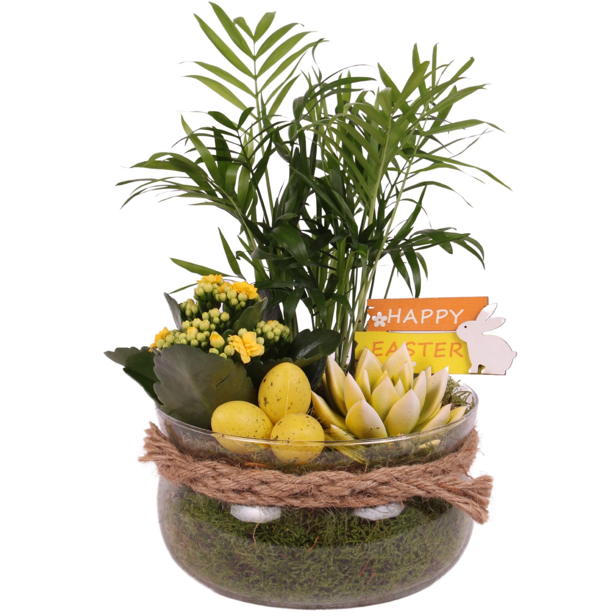 Easter Arr. Indoor Glass Bowl with Rope Ø20cm 3PP, D 20