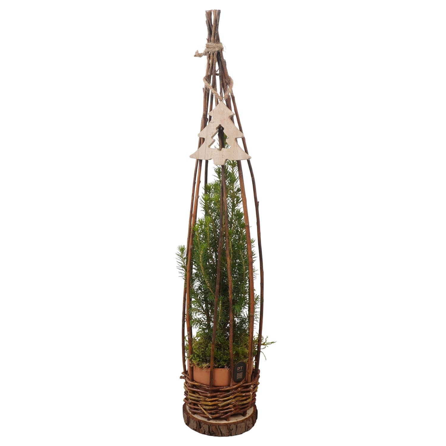 PTCWW7800 Arrangement Winter in rieten mand met terracotta pot, D 11