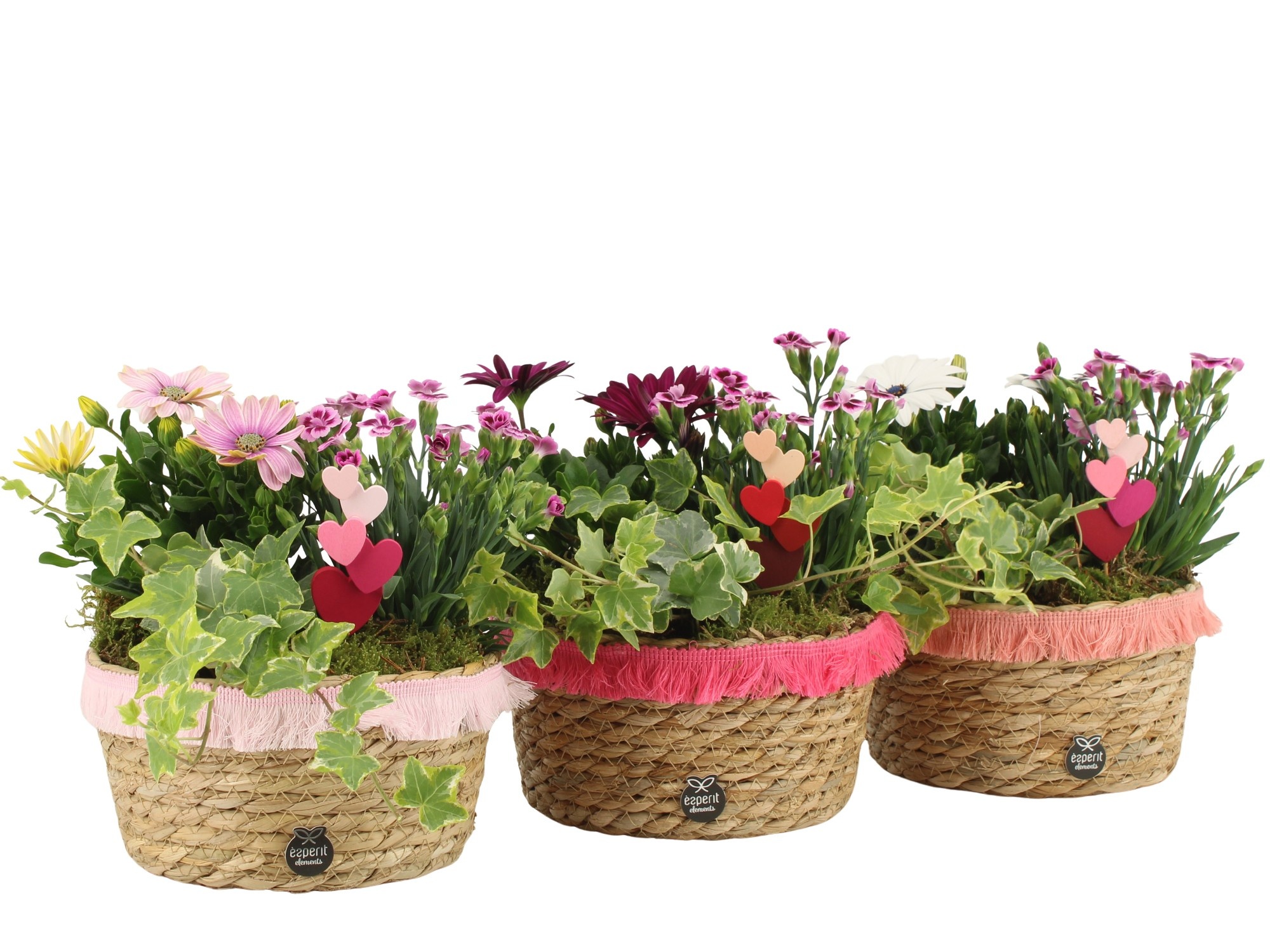 21991: Love outdoor arrangement, D 17