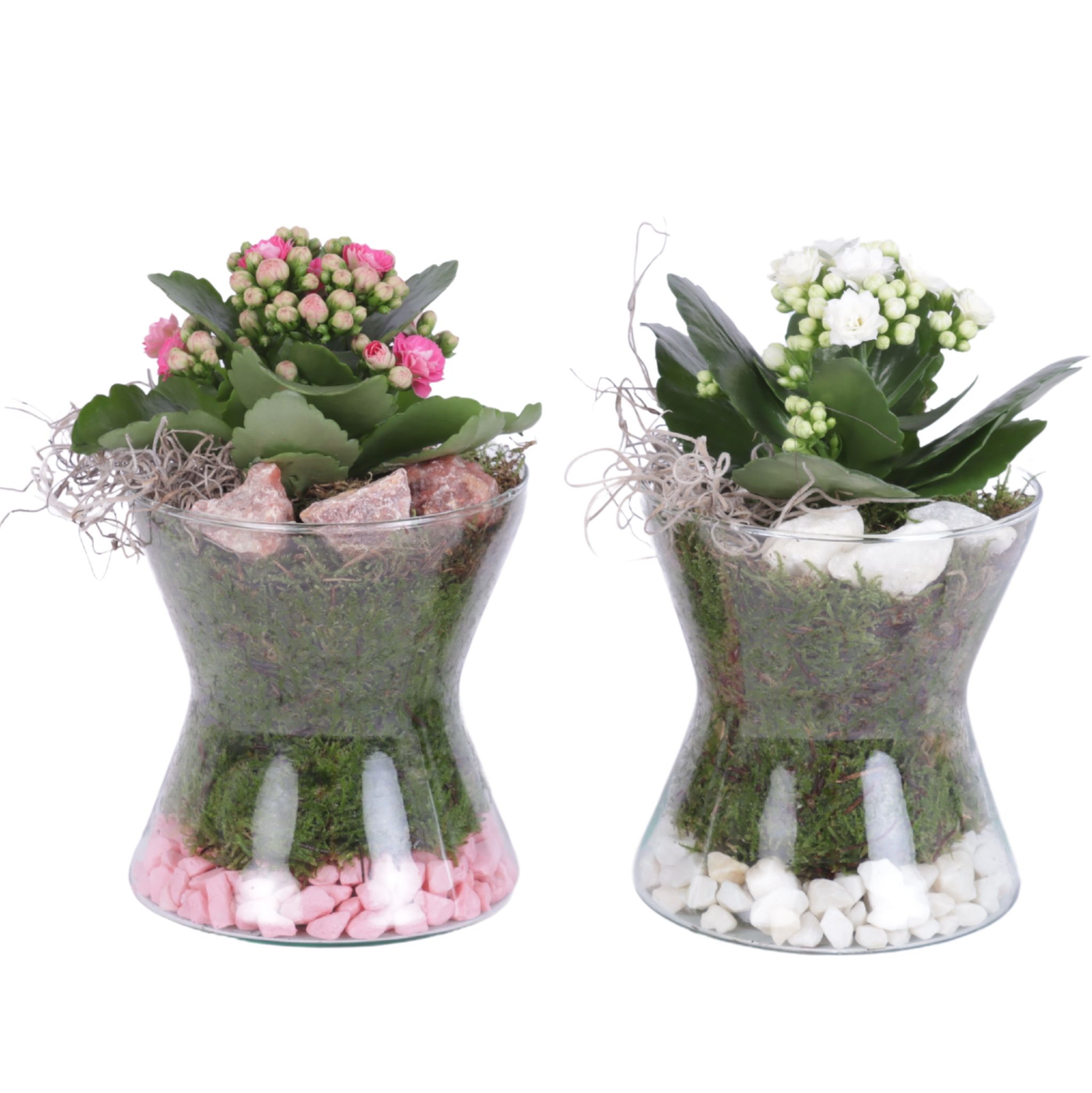 Yearround Arr. Indoor Glass Hourglass Ø13cm 1PP, D 13