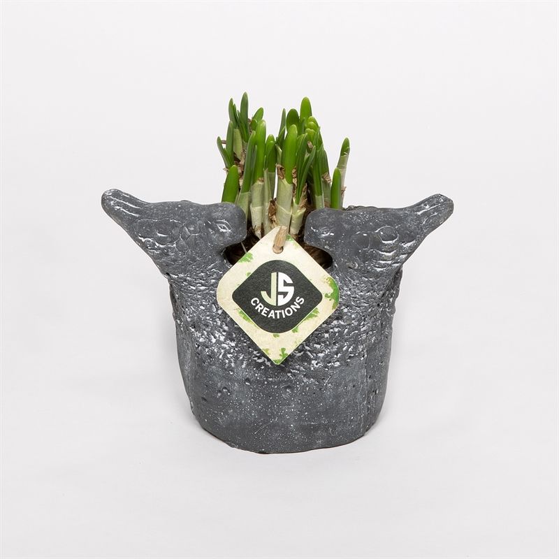 Cement vogelpotje grijs 12cm, D 12