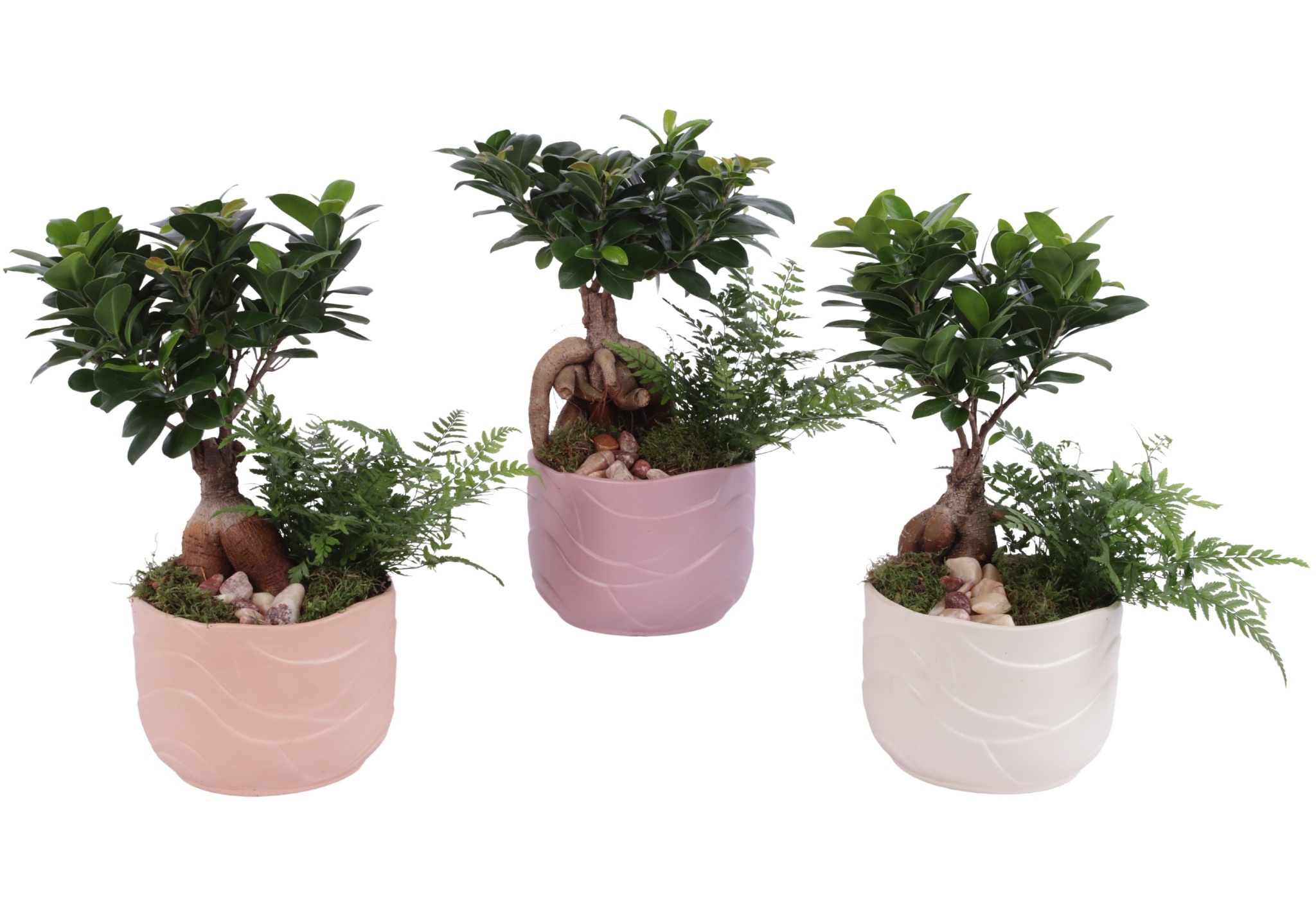 Yearround Arr. Indoor Ceramic Soft Elegance SE660 Ø17cm 2PP, D 17