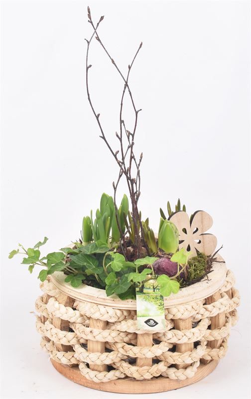 Hout rond met touw 20cm, D 20