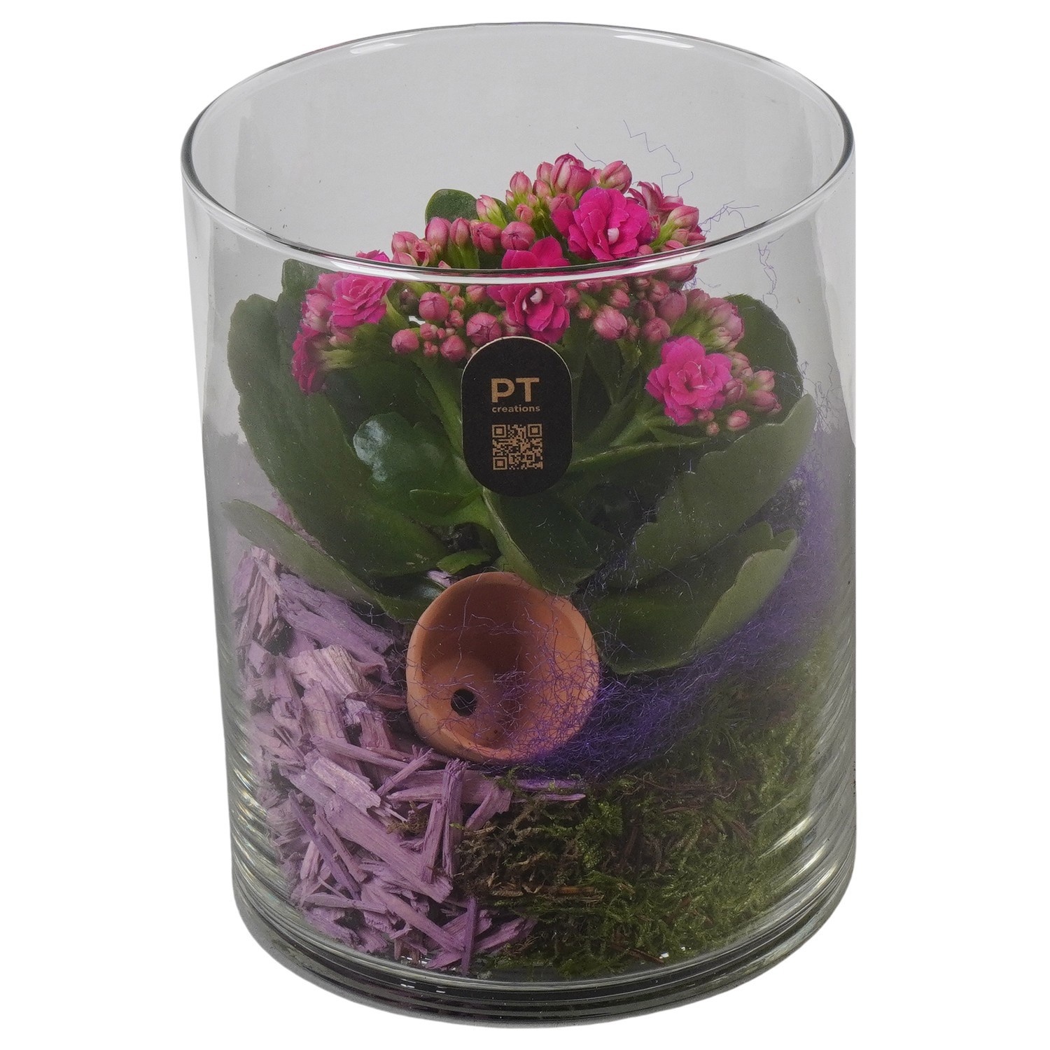 PTIG2687 Arrangement Indoor in glazen vaas, D 12