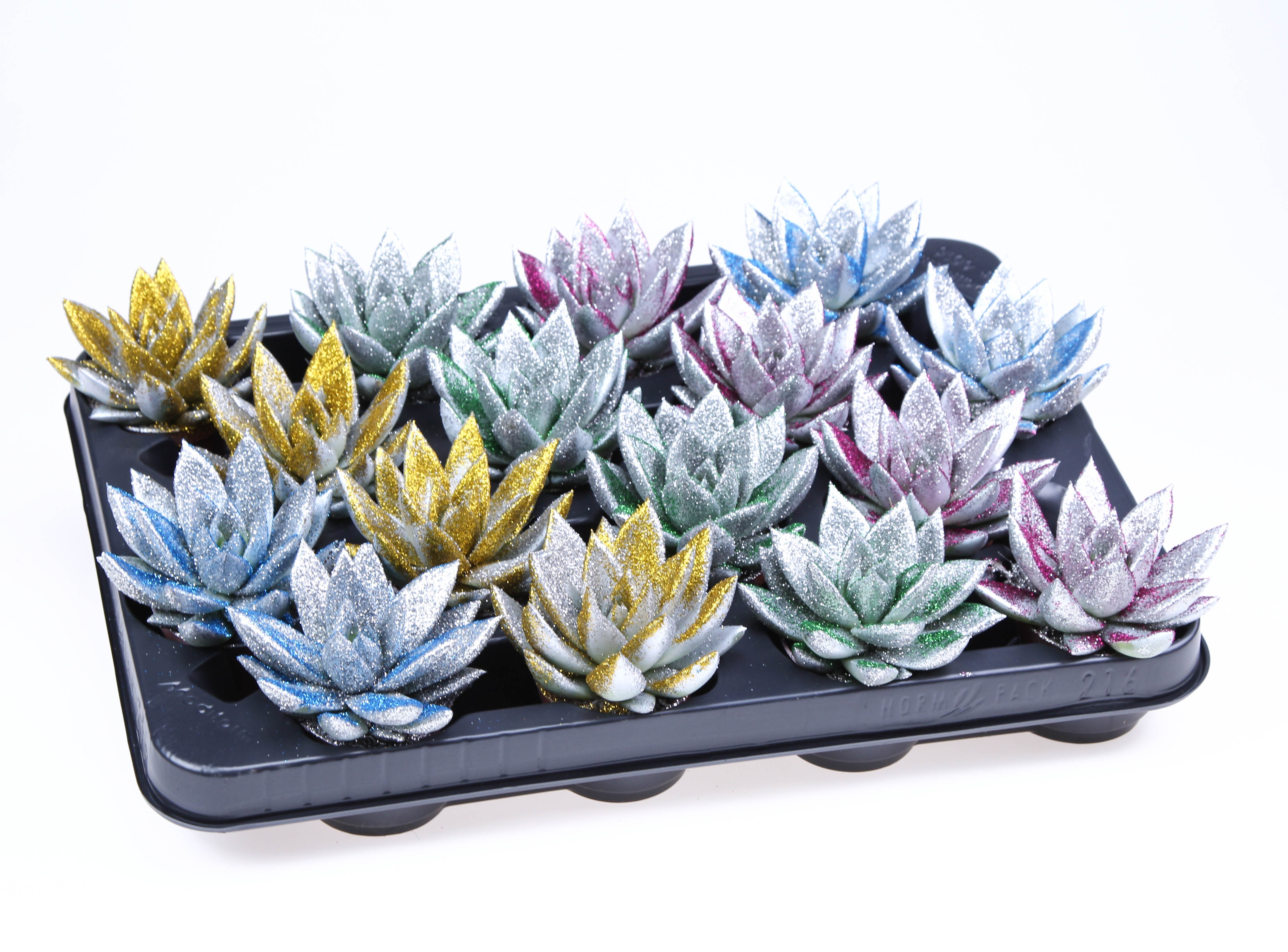 Miranda zilver + MIX bioglitter, D 6