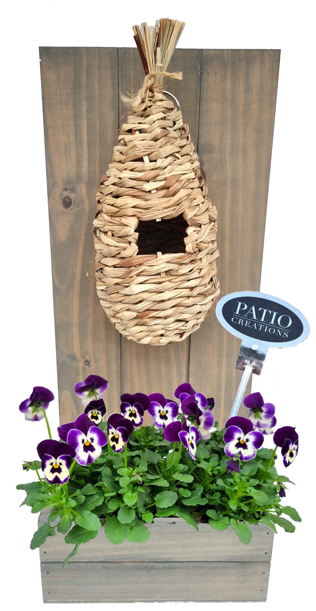 V803-9001 Viola plantenbak nestkorf, D 20