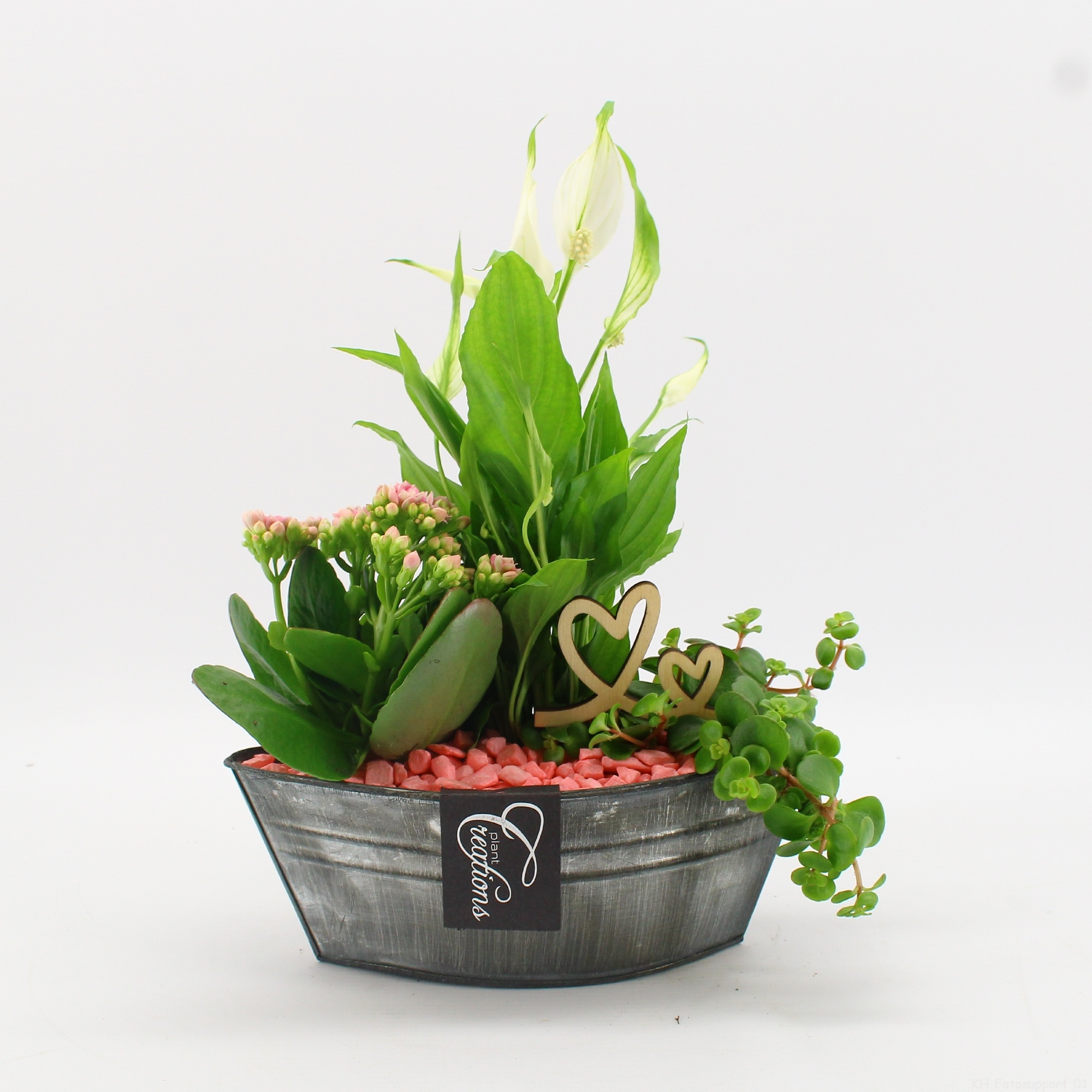 FDRM-2614RZ Romantic Fundamentals, D 22