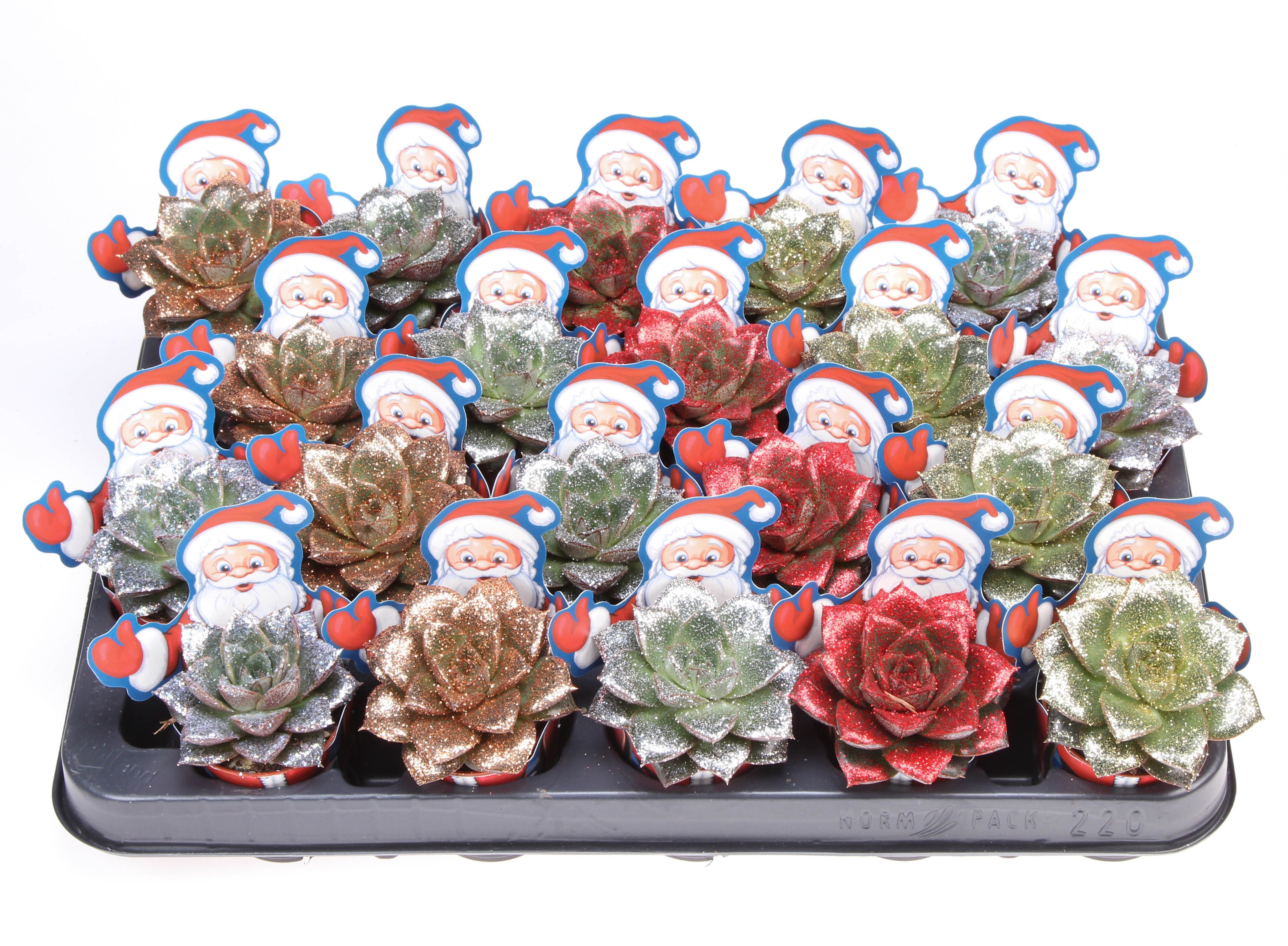 Potcover santaclaus purper naturel glittermix, D 5,5