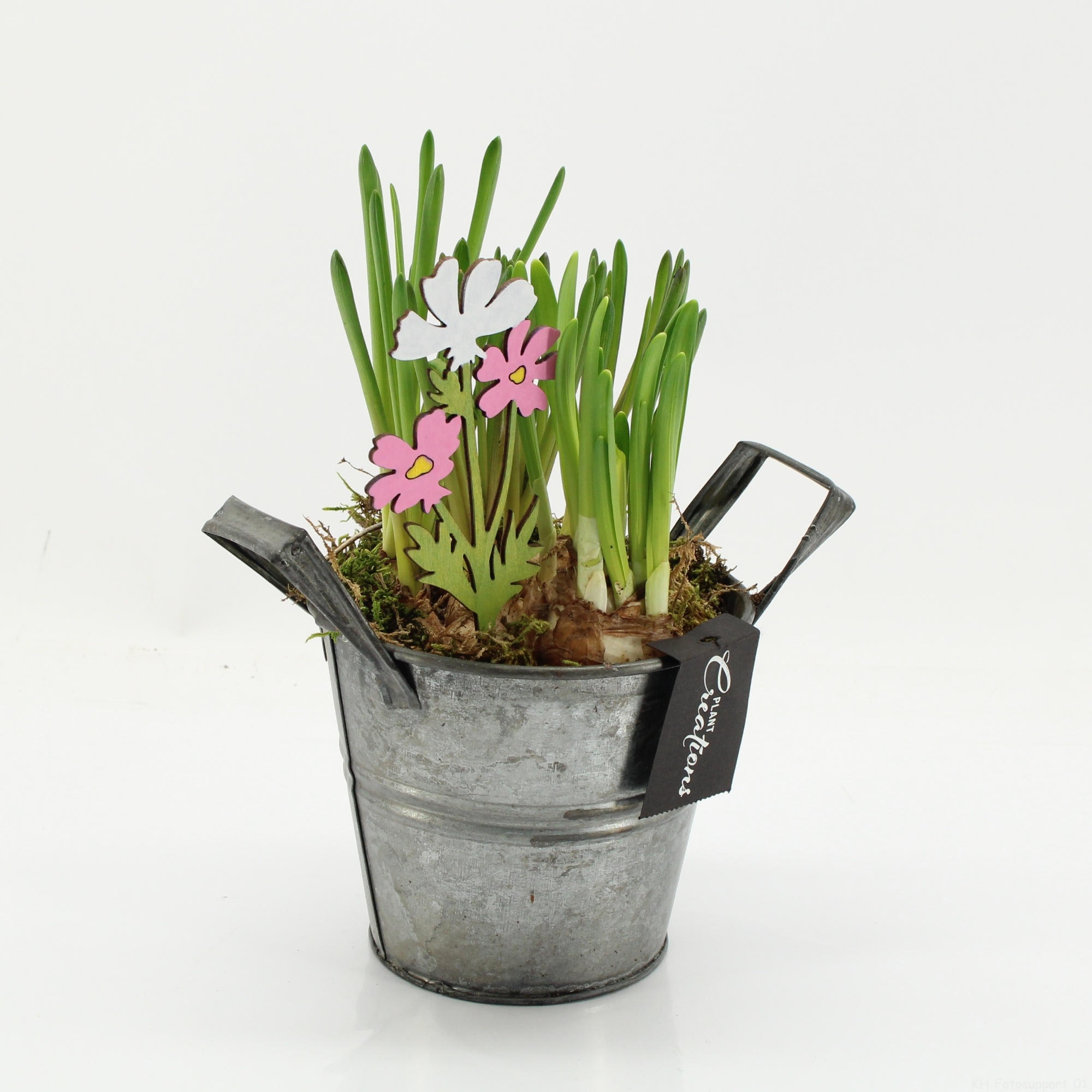 BLCR-2616 Bulbs creations, D 14