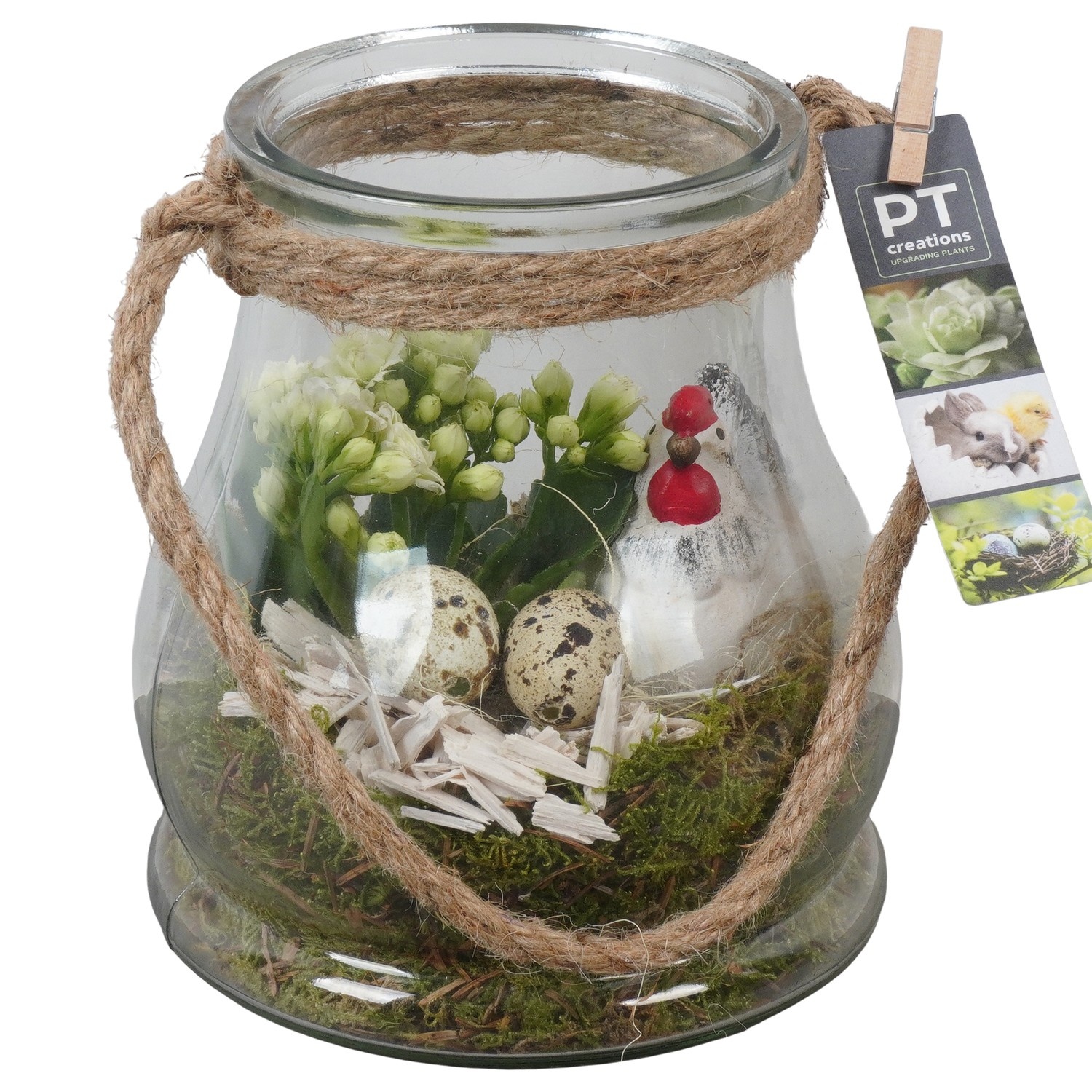 PTPG9316 Arrangement Easter in glas vaas, D 16