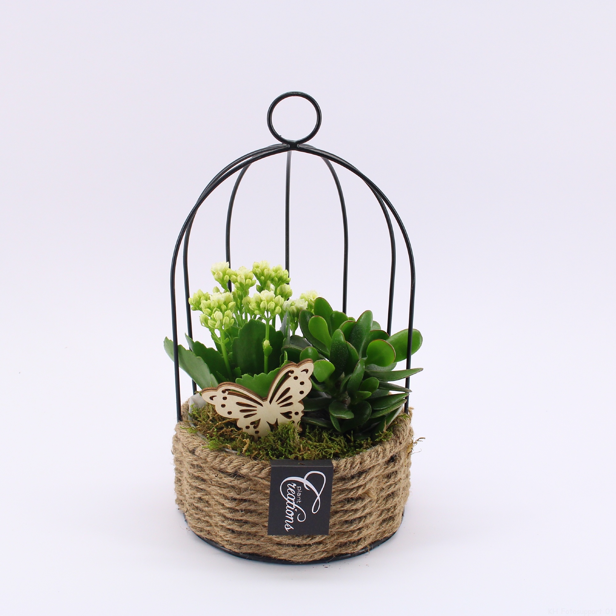 ESCR-2615W Essentials, D 16