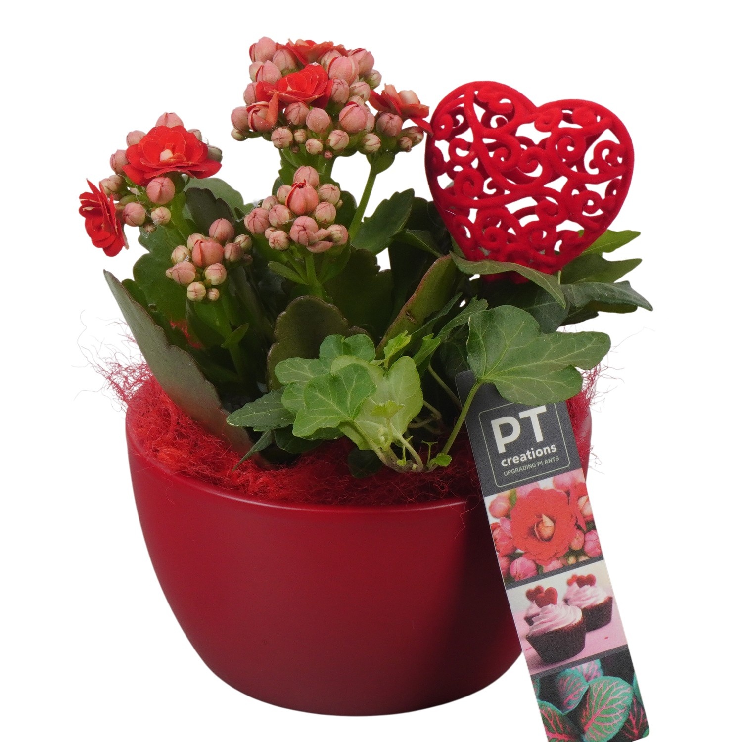 PTVMB2201 Arrangement Valentines-Mothersday in keramiek schaal, D 14